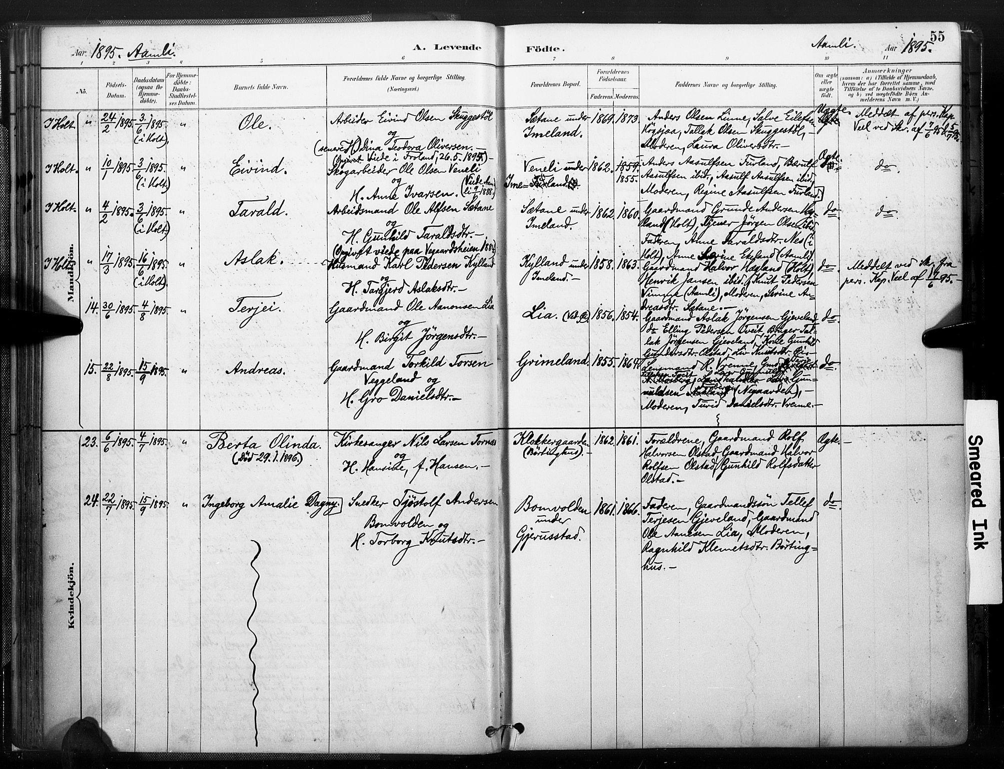 Åmli sokneprestkontor, AV/SAK-1111-0050/F/Fa/Fac/L0010: Ministerialbok nr. A 10 /1, 1885-1899, s. 55