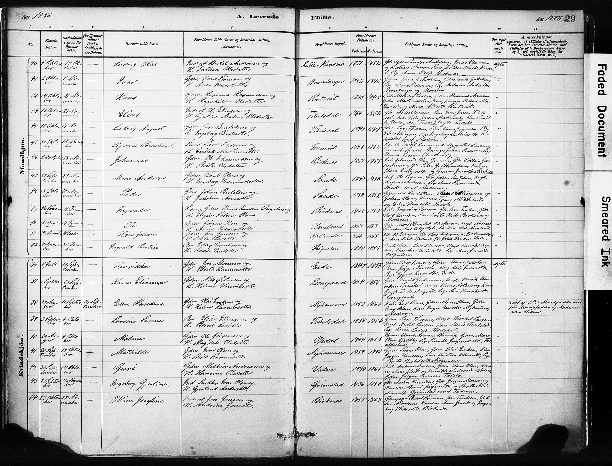Gulen sokneprestembete, AV/SAB-A-80201/H/Haa/Haab/L0001: Ministerialbok nr. B 1, 1881-1905, s. 29