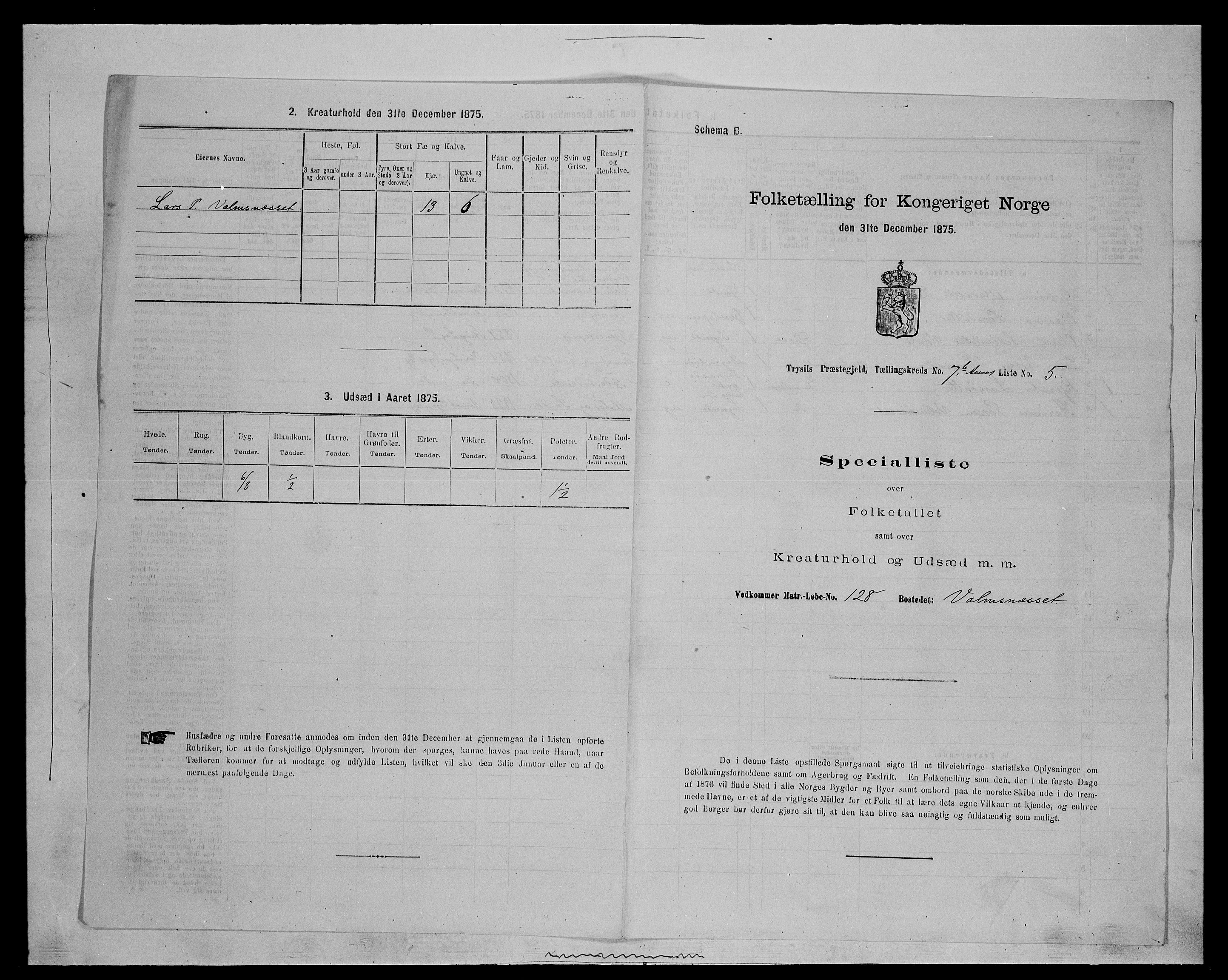 SAH, Folketelling 1875 for 0428P Trysil prestegjeld, 1875, s. 1440