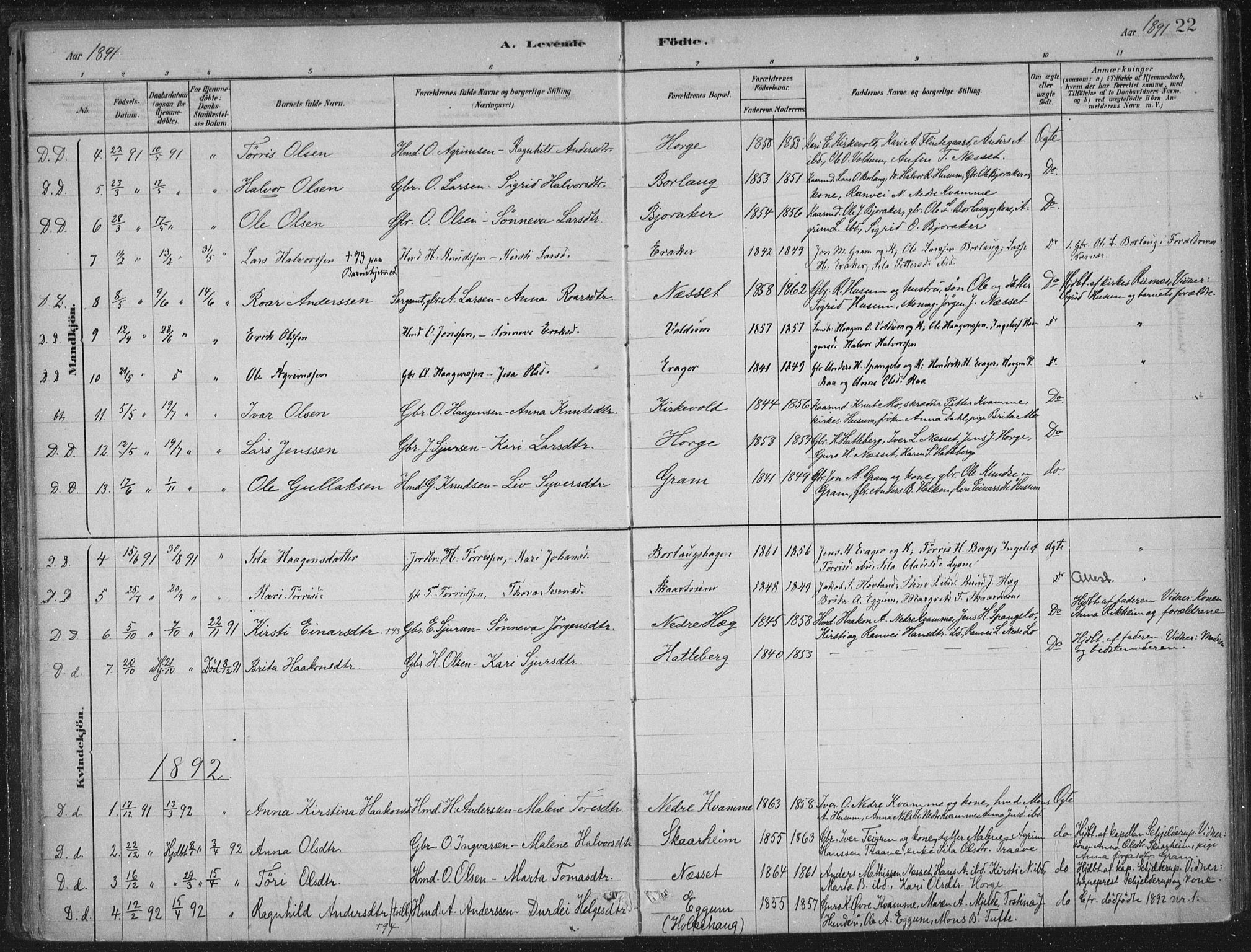 Lærdal sokneprestembete, AV/SAB-A-81201: Ministerialbok nr. C  1, 1878-1911, s. 22