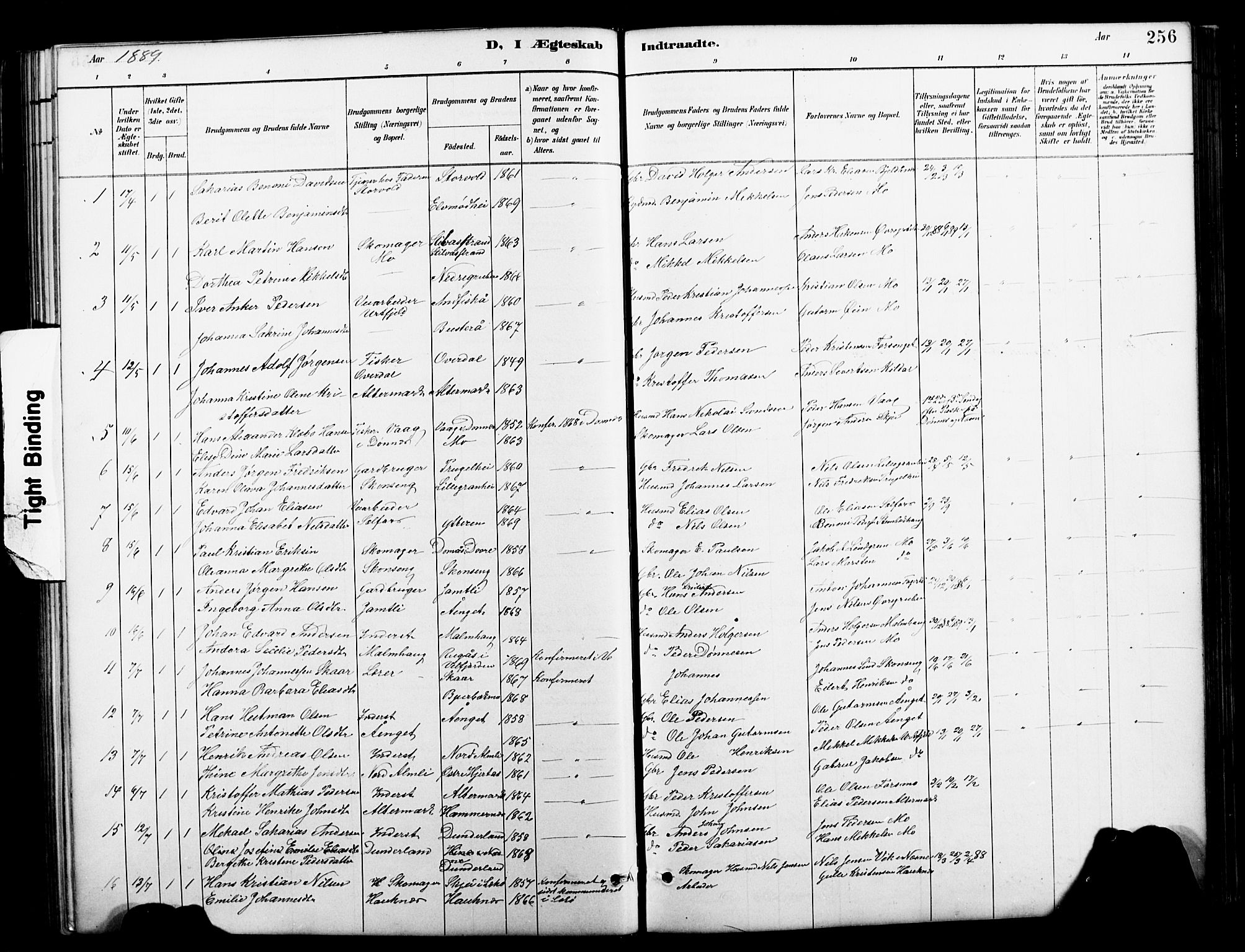 Ministerialprotokoller, klokkerbøker og fødselsregistre - Nordland, SAT/A-1459/827/L0421: Klokkerbok nr. 827C10, 1887-1906, s. 256