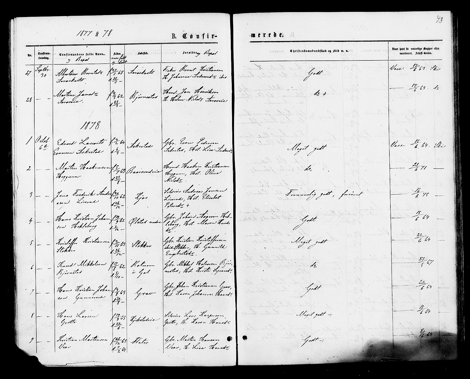 Røyken kirkebøker, SAKO/A-241/F/Fa/L0007: Ministerialbok nr. 7, 1876-1879, s. 43
