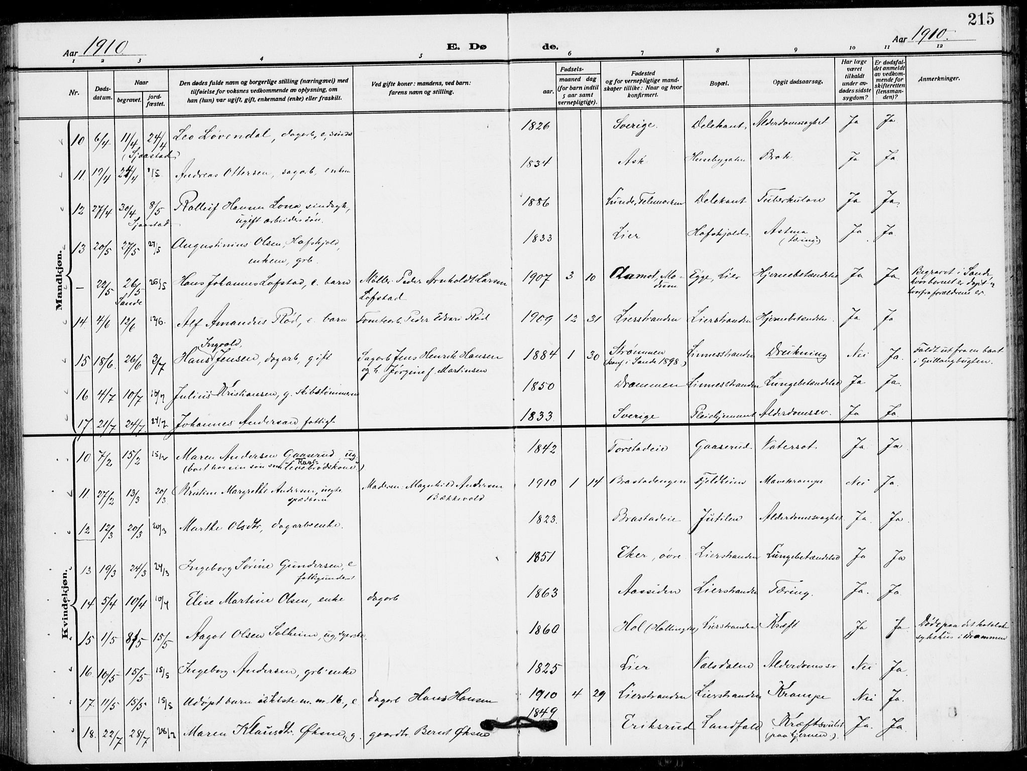 Lier kirkebøker, AV/SAKO-A-230/F/Fa/L0018: Ministerialbok nr. I 18, 1909-1917, s. 215