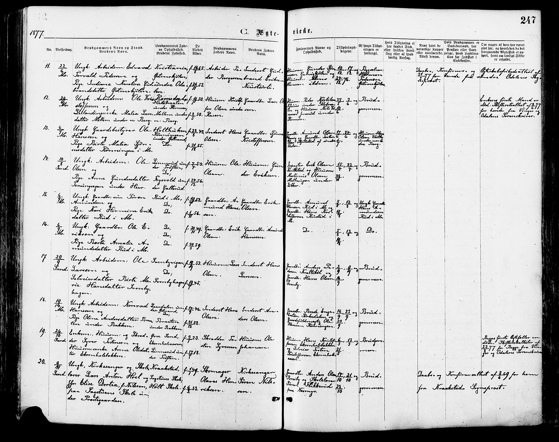 Nord-Odal prestekontor, SAH/PREST-032/H/Ha/Haa/L0005: Ministerialbok nr. 5, 1874-1885, s. 247