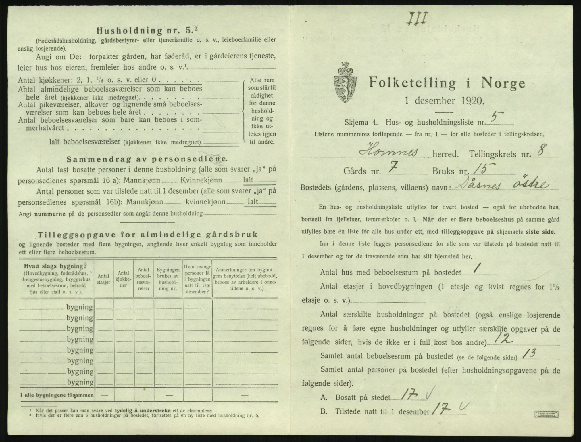 SAK, Folketelling 1920 for 0936 Hornnes herred, 1920, s. 299