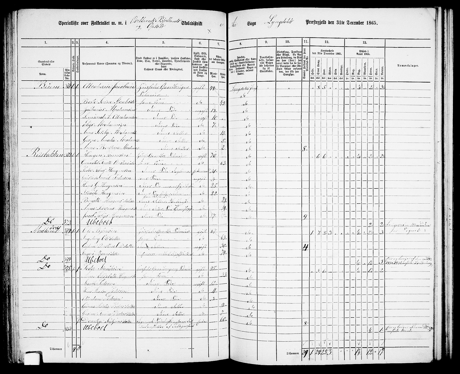 RA, Folketelling 1865 for 1032P Lyngdal prestegjeld, 1865, s. 165