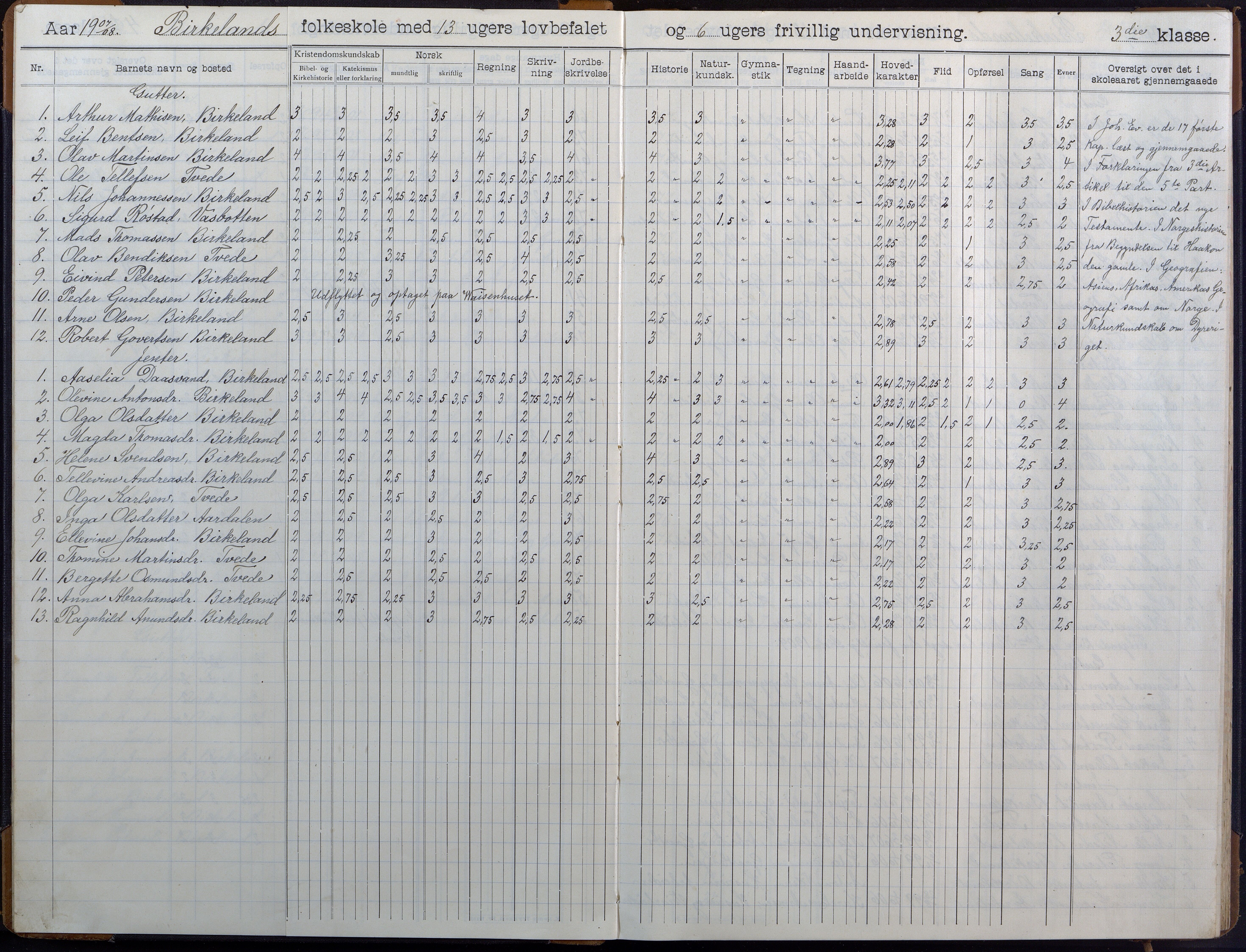 Birkenes kommune, Birkenes krets/Birkeland folkeskole frem til 1991, AAKS/KA0928-550a_91/F02/L0007: Skoleprotokoll, 1907-1931