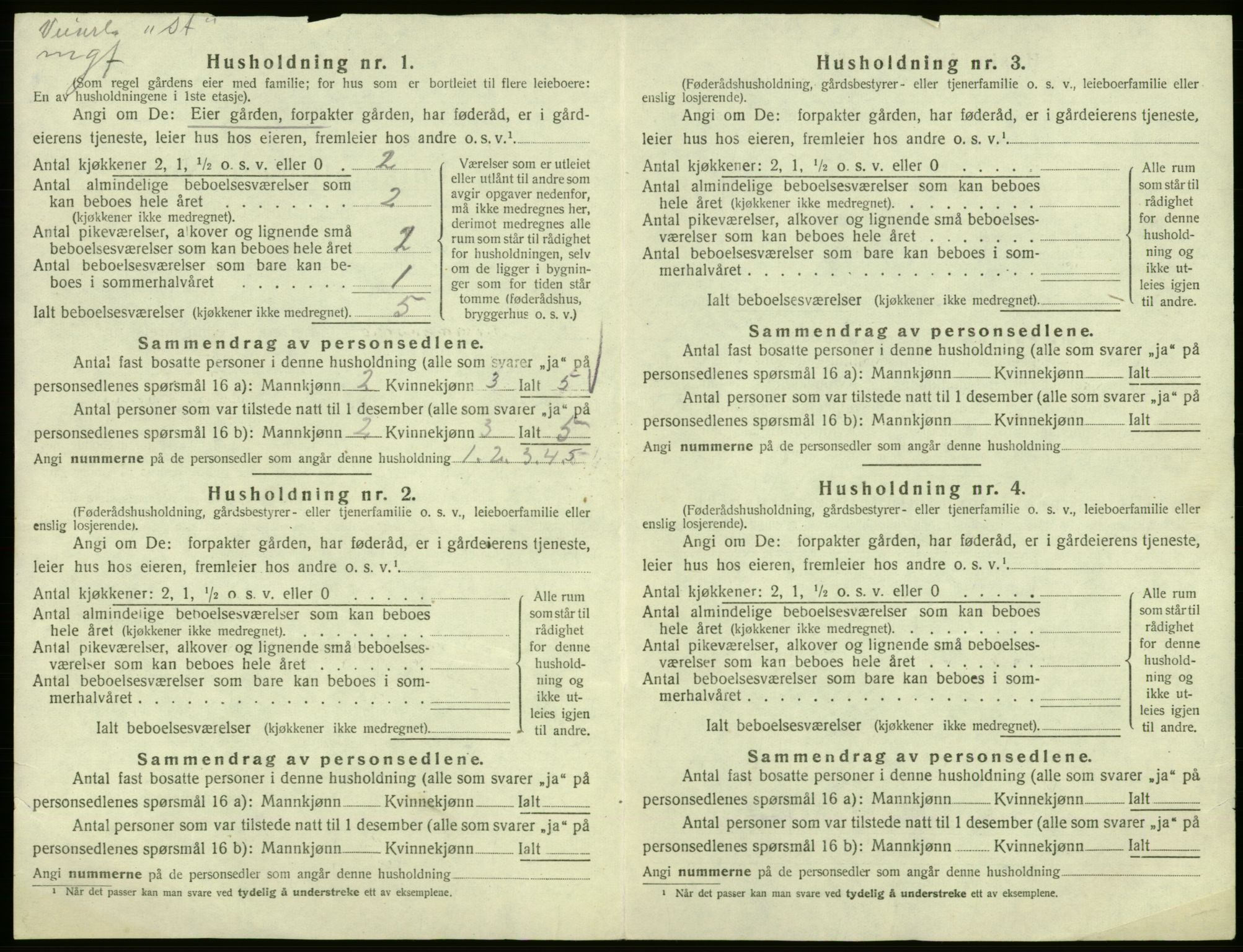 SAB, Folketelling 1920 for 1239 Hålandsdal herred, 1920, s. 28