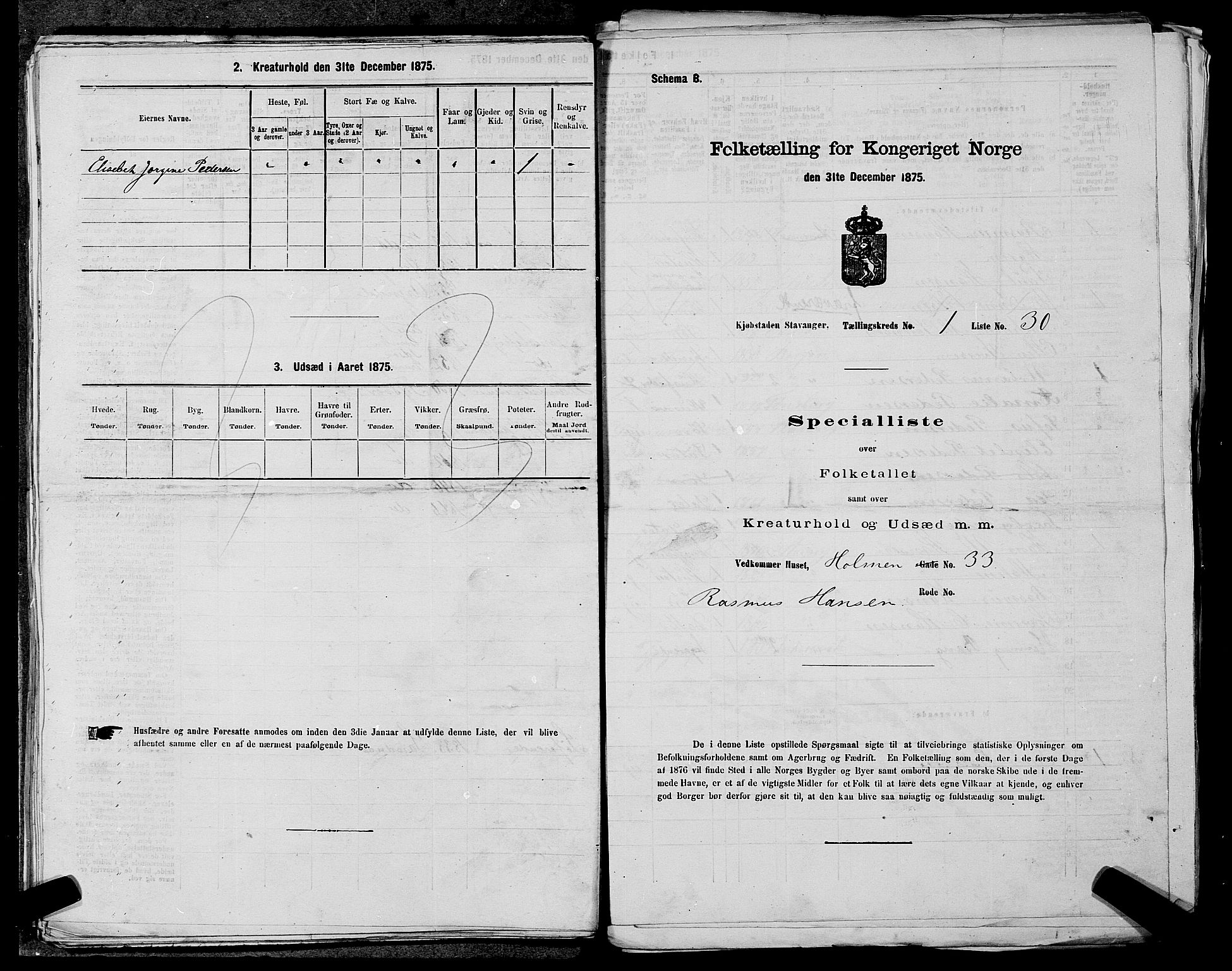 SAST, Folketelling 1875 for 1103 Stavanger kjøpstad, 1875, s. 61