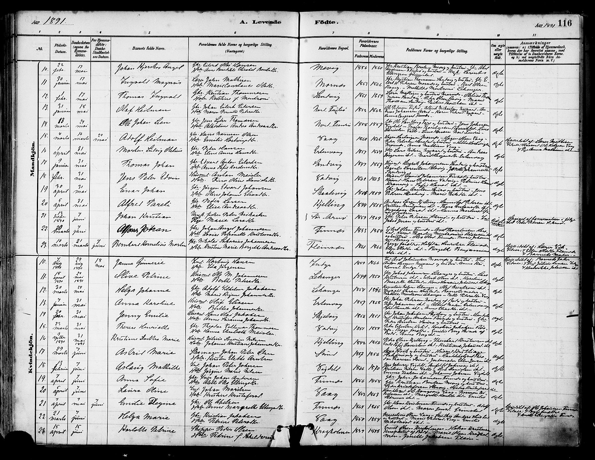 Ministerialprotokoller, klokkerbøker og fødselsregistre - Nordland, AV/SAT-A-1459/805/L0099: Ministerialbok nr. 805A06, 1880-1891, s. 116