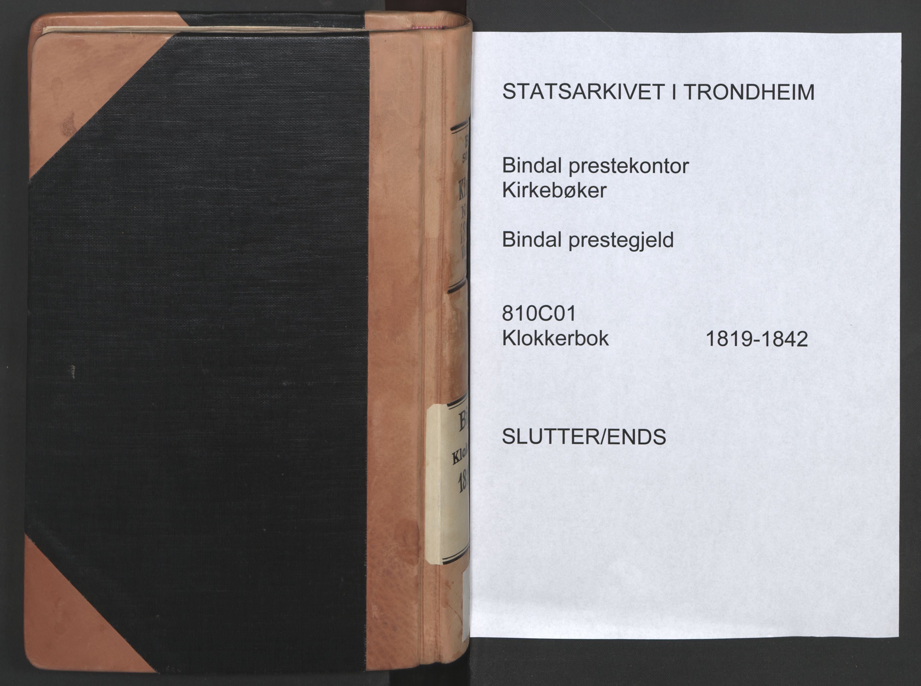 Ministerialprotokoller, klokkerbøker og fødselsregistre - Nordland, AV/SAT-A-1459/810/L0157: Klokkerbok nr. 810C01, 1819-1842