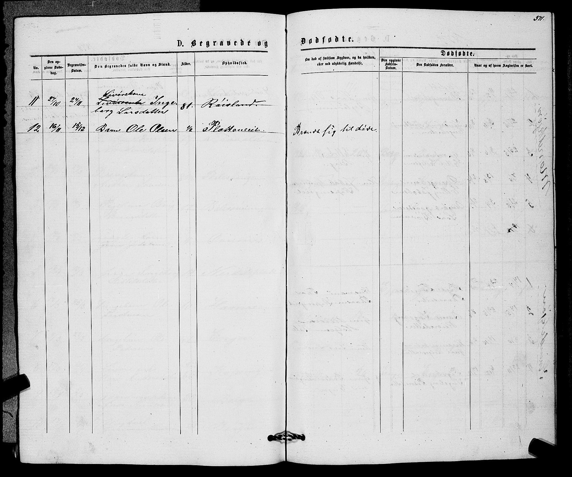 Sigdal kirkebøker, AV/SAKO-A-245/G/Gb/L0002: Klokkerbok nr. II 2, 1875-1900, s. 371