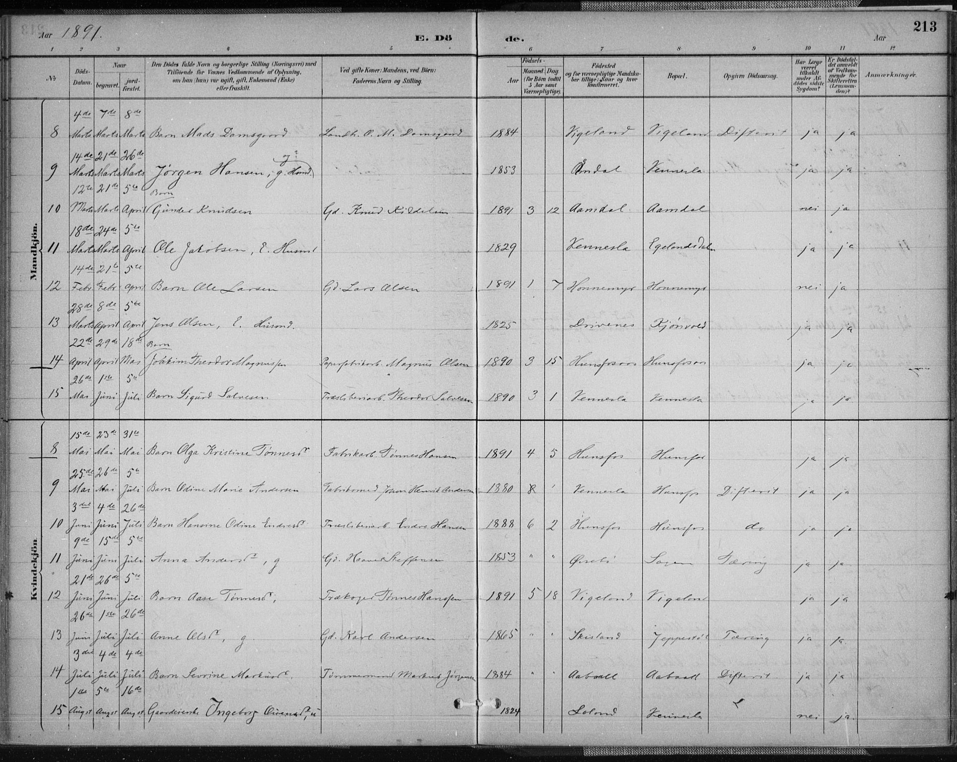 Vennesla sokneprestkontor, AV/SAK-1111-0045/Fa/Fab/L0004: Ministerialbok nr. A 4, 1884-1896, s. 213