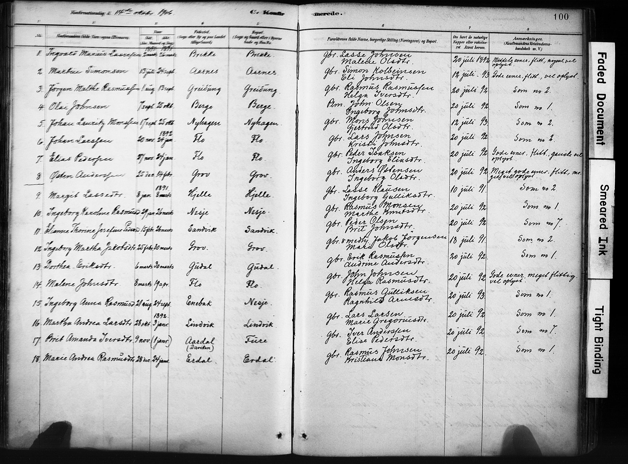 Stryn Sokneprestembete, AV/SAB-A-82501: Ministerialbok nr. D 1, 1878-1907, s. 100