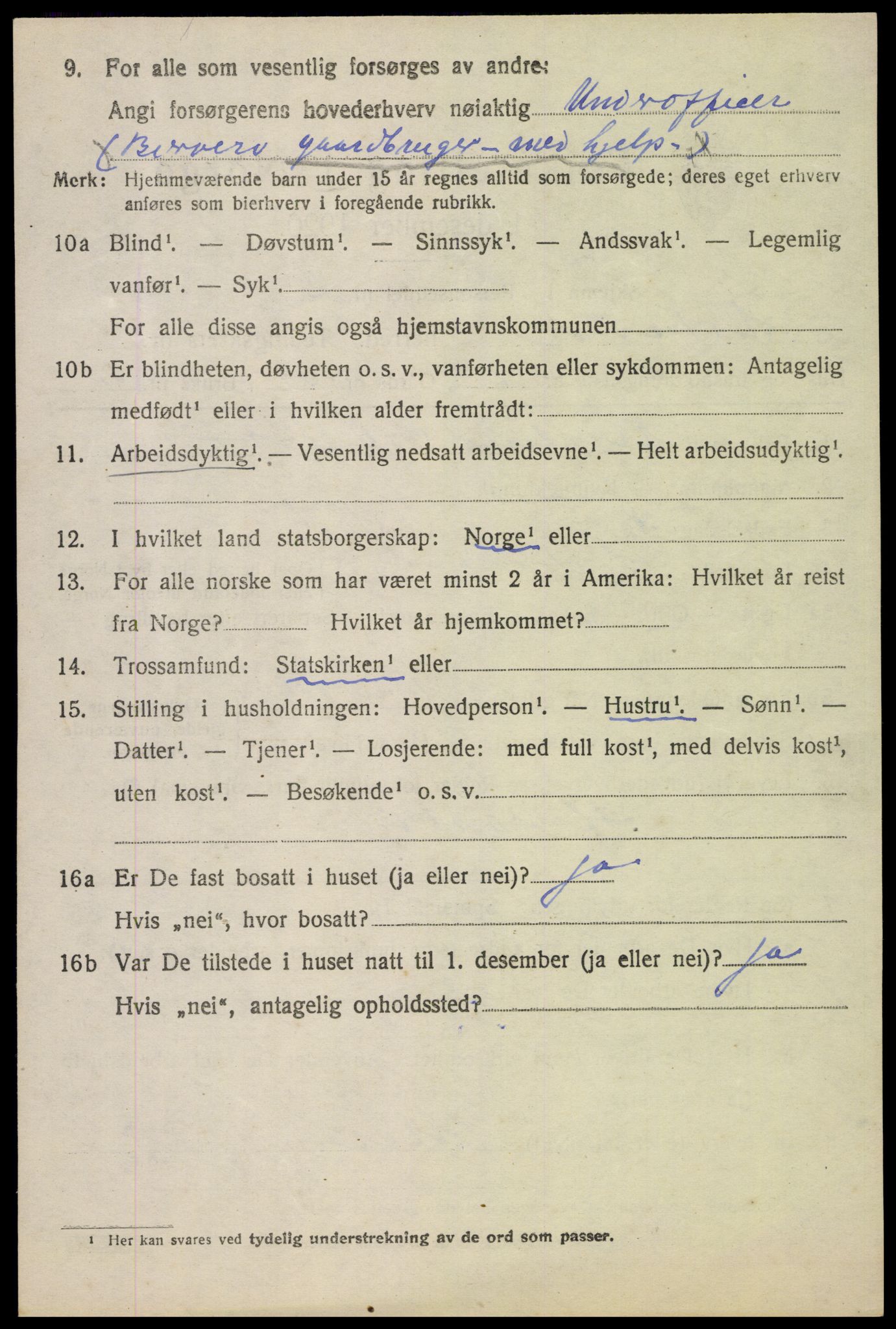 SAH, Folketelling 1920 for 0536 Søndre Land herred, 1920, s. 1224