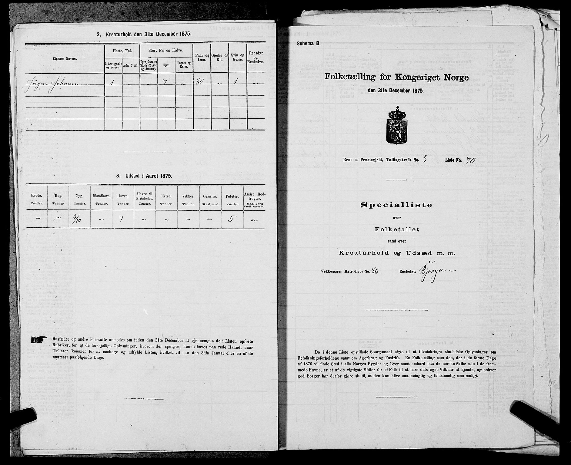 SAST, Folketelling 1875 for 1142P Rennesøy prestegjeld, 1875, s. 425