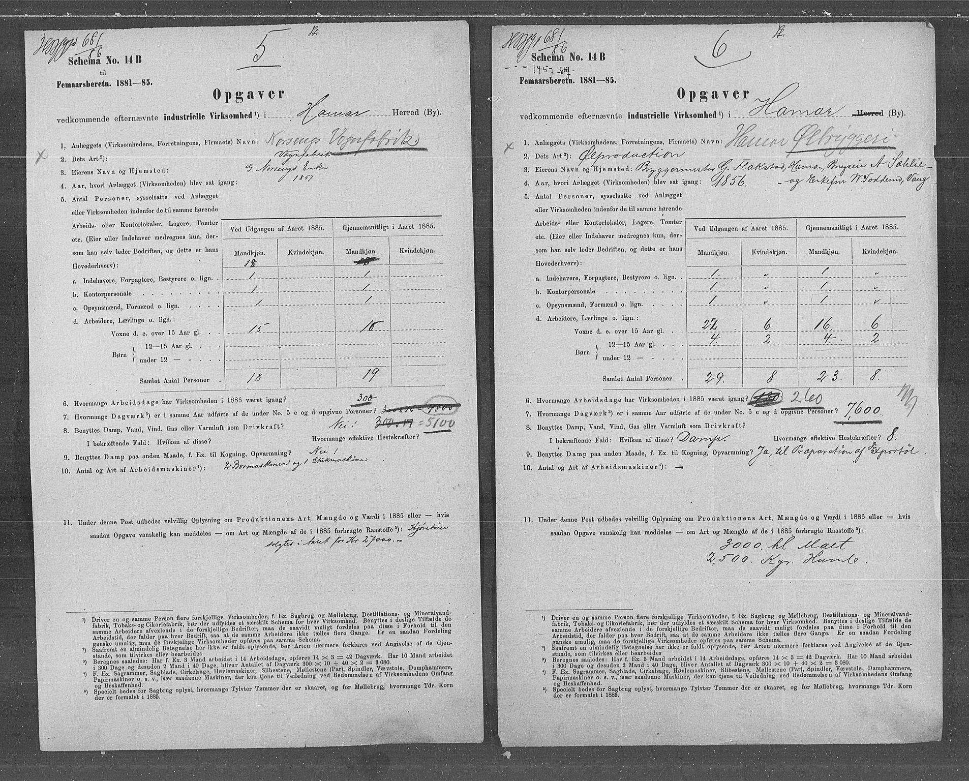 Statistisk sentralbyrå, Næringsøkonomiske emner, Generelt - Amtmennenes femårsberetninger, AV/RA-S-2233/F/Fa/L0067: --, 1885, s. 4