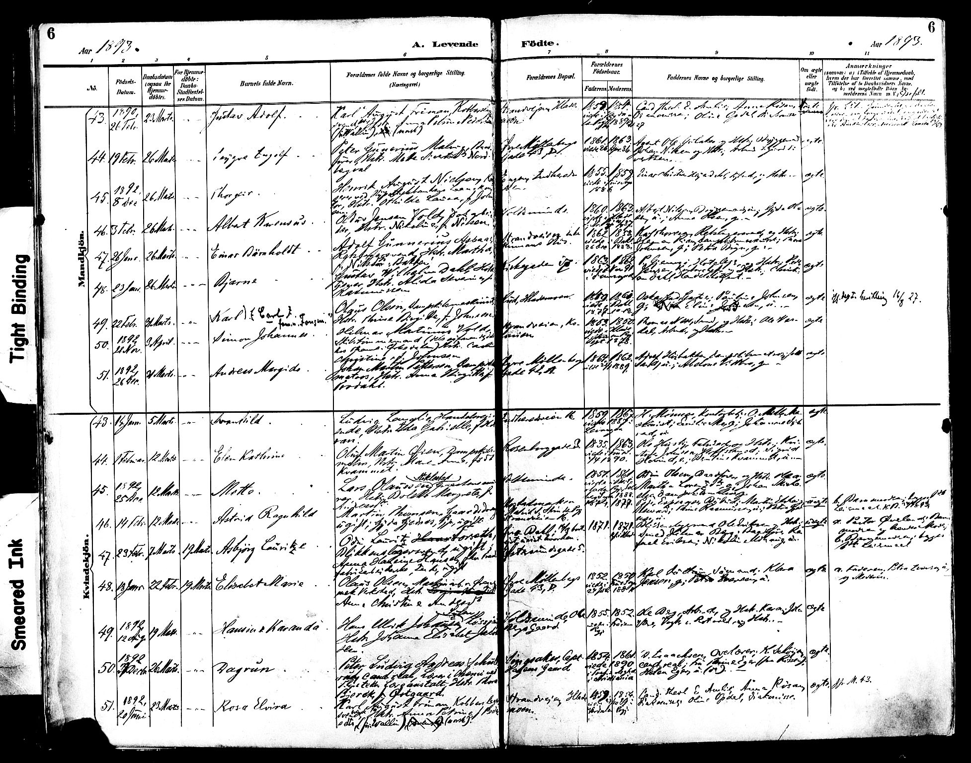 Ministerialprotokoller, klokkerbøker og fødselsregistre - Sør-Trøndelag, AV/SAT-A-1456/604/L0197: Ministerialbok nr. 604A18, 1893-1900, s. 6
