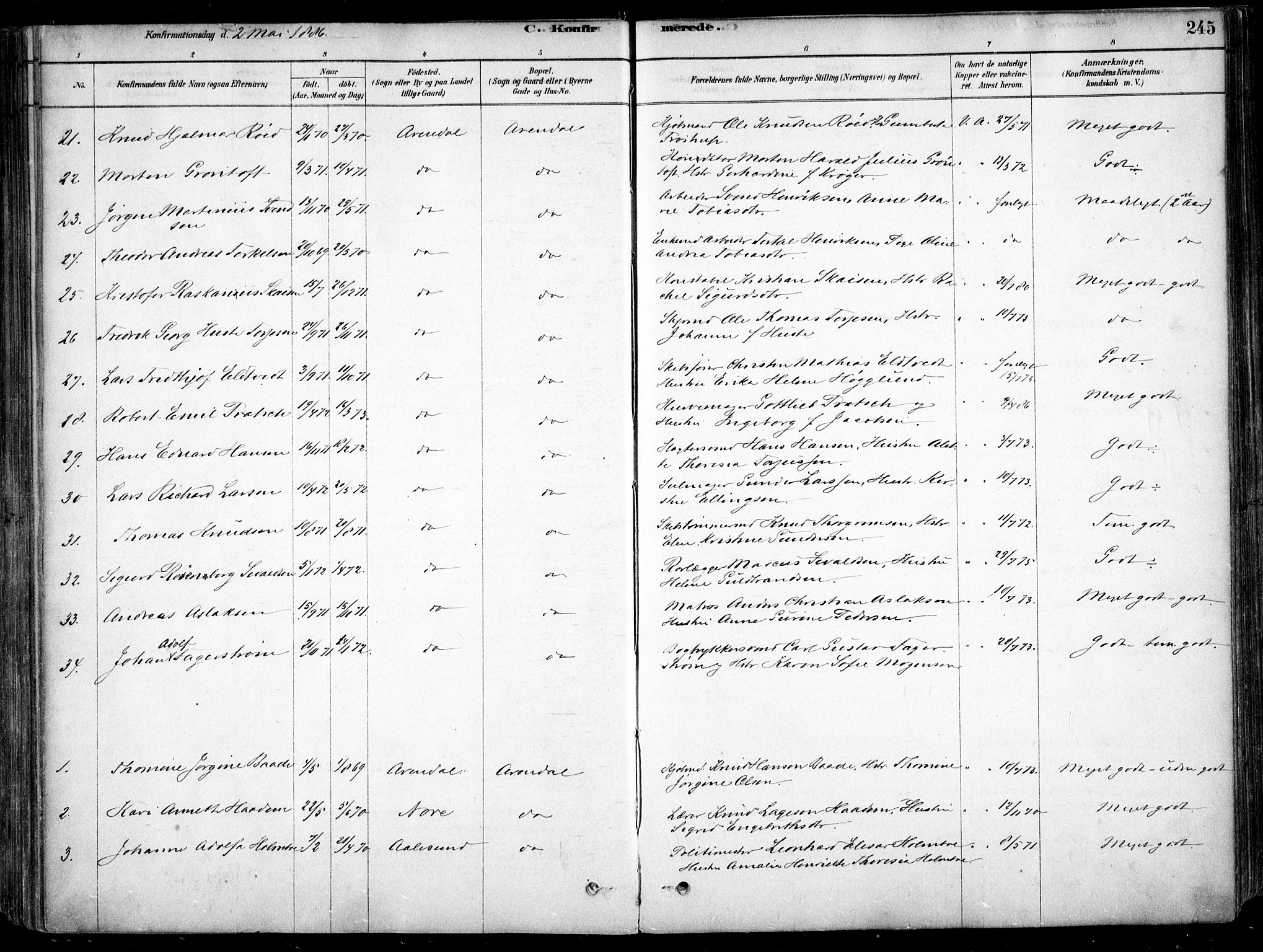 Arendal sokneprestkontor, Trefoldighet, AV/SAK-1111-0040/F/Fa/L0008: Ministerialbok nr. A 8, 1878-1899, s. 245