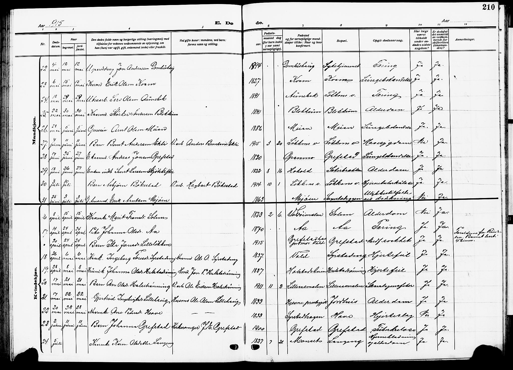 Ministerialprotokoller, klokkerbøker og fødselsregistre - Sør-Trøndelag, AV/SAT-A-1456/672/L0865: Klokkerbok nr. 672C04, 1914-1928, s. 210