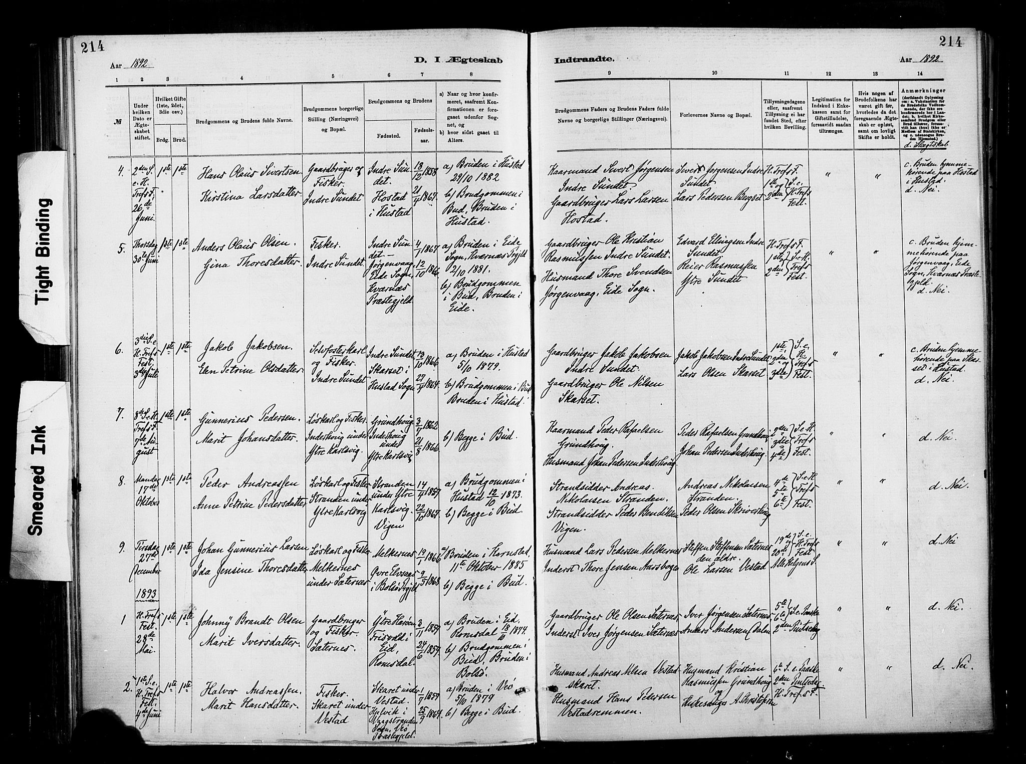 Ministerialprotokoller, klokkerbøker og fødselsregistre - Møre og Romsdal, AV/SAT-A-1454/566/L0769: Ministerialbok nr. 566A08, 1881-1903, s. 214