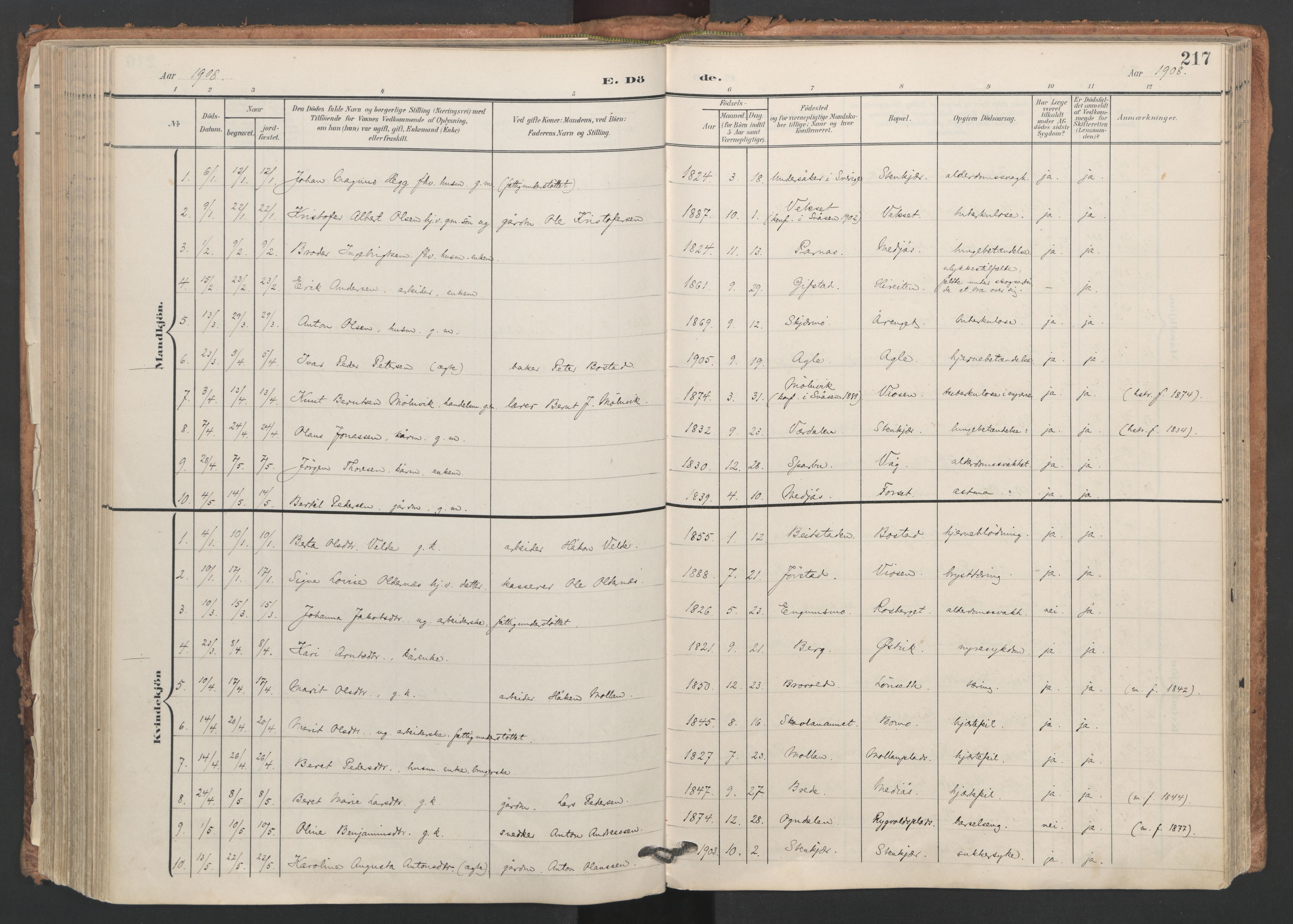 Ministerialprotokoller, klokkerbøker og fødselsregistre - Nord-Trøndelag, AV/SAT-A-1458/749/L0477: Ministerialbok nr. 749A11, 1902-1927, s. 217