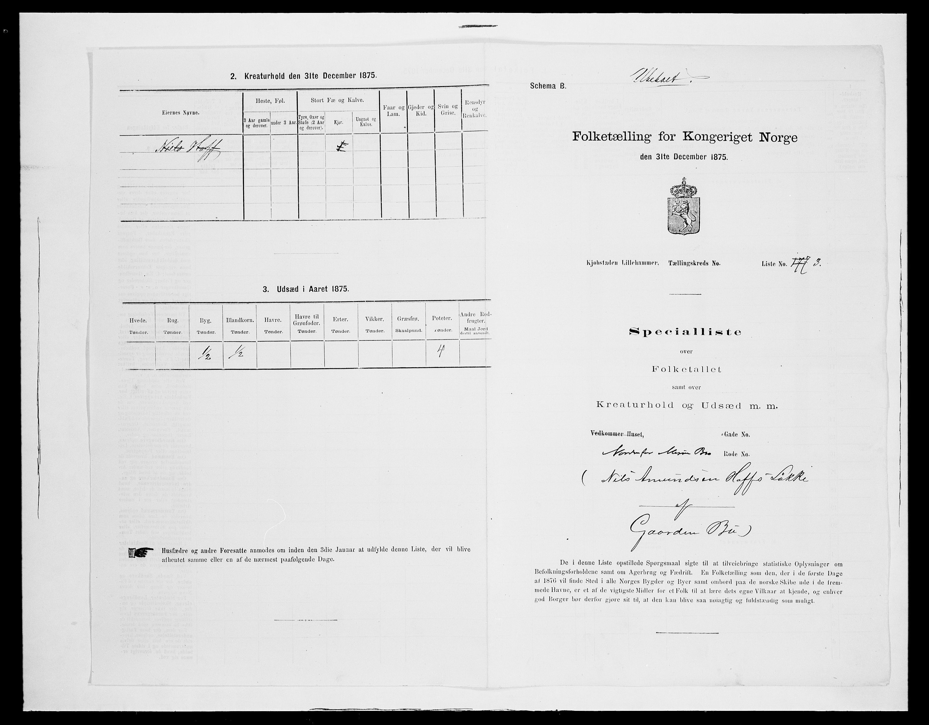 SAH, Folketelling 1875 for 0501B Fåberg prestegjeld, Lillehammer kjøpstad, 1875, s. 8