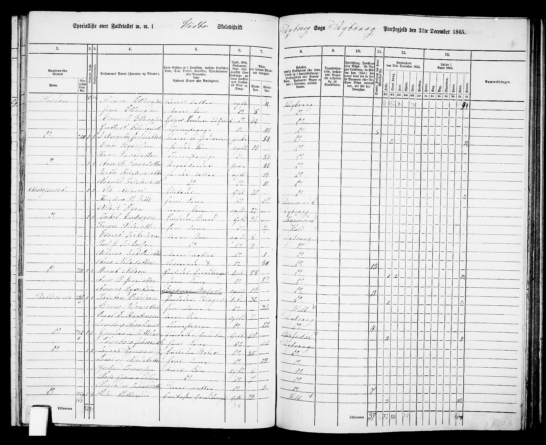 RA, Folketelling 1865 for 0915P Dypvåg prestegjeld, 1865, s. 117