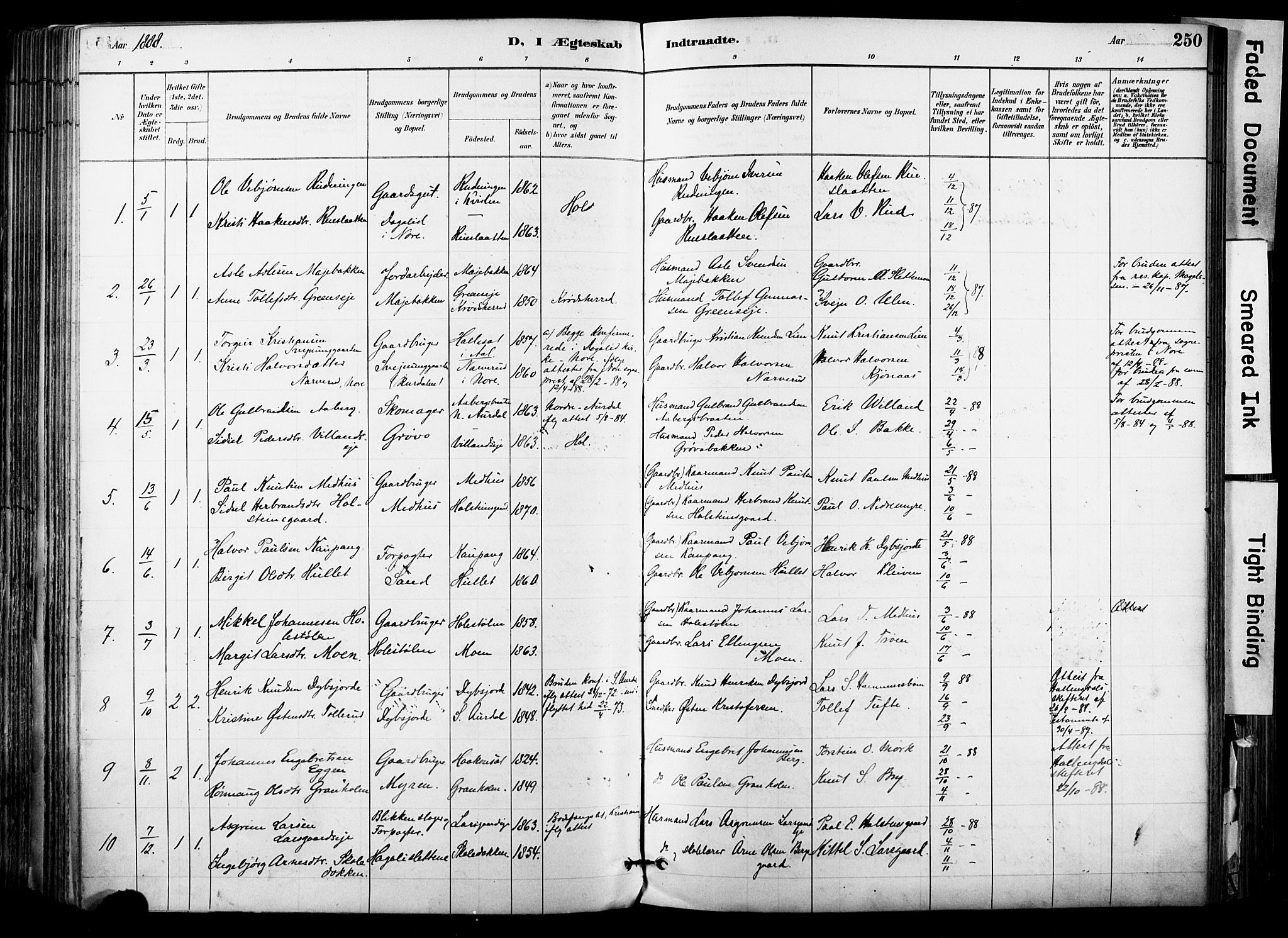 Hol kirkebøker, AV/SAKO-A-227/F/Fa/L0003: Ministerialbok nr. I 3, 1887-1918, s. 250