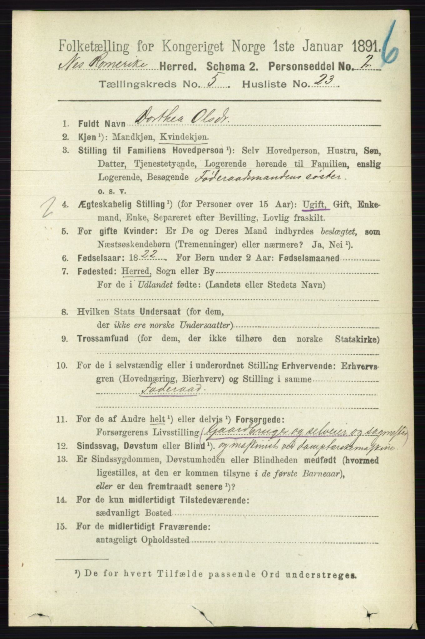 RA, Folketelling 1891 for 0236 Nes herred, 1891, s. 2917