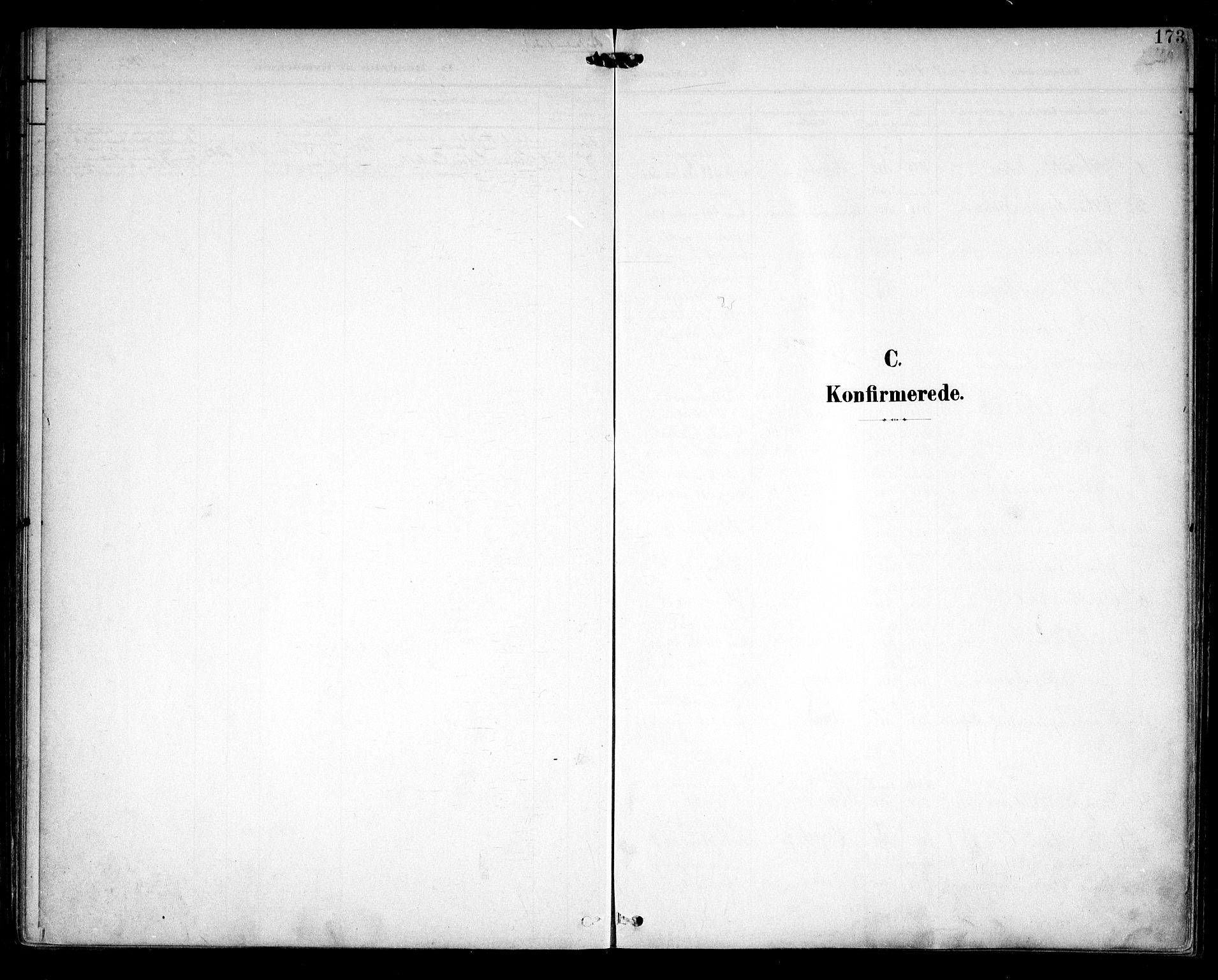 Sarpsborg prestekontor Kirkebøker, AV/SAO-A-2006/F/Fa/L0005: Ministerialbok nr. 5, 1900-1909, s. 173
