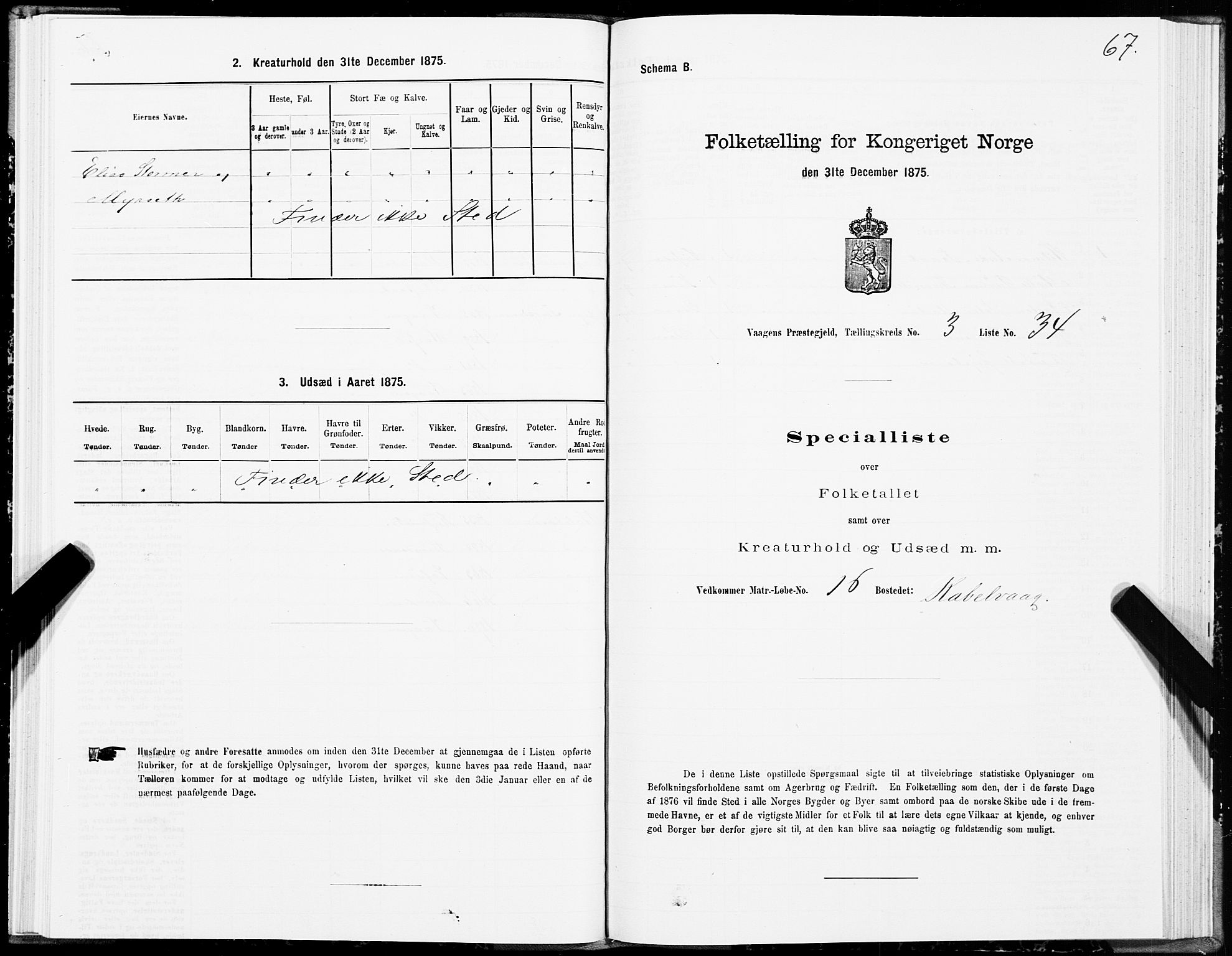 SAT, Folketelling 1875 for 1865P Vågan prestegjeld, 1875, s. 2067