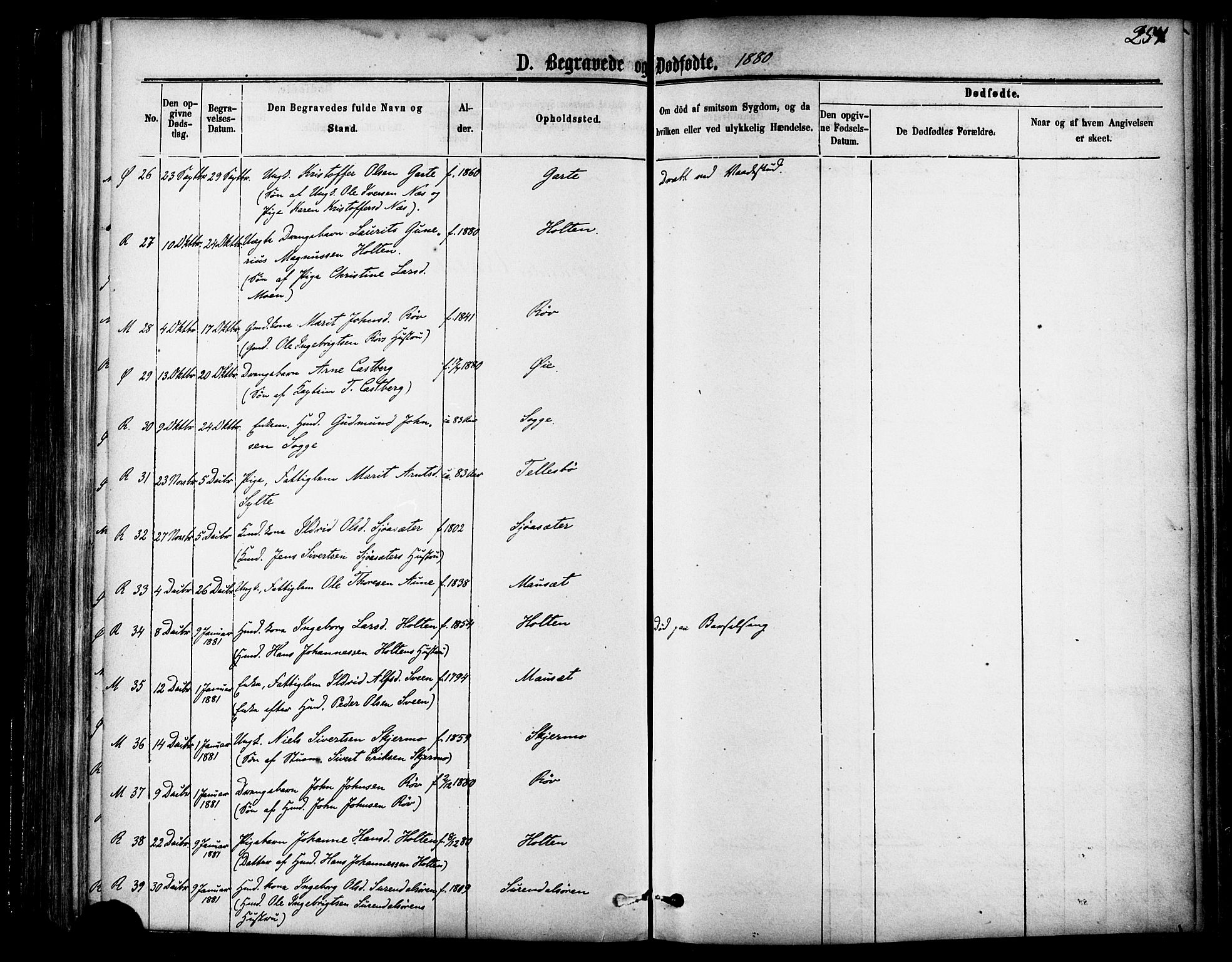 Ministerialprotokoller, klokkerbøker og fødselsregistre - Møre og Romsdal, SAT/A-1454/595/L1046: Ministerialbok nr. 595A08, 1874-1884, s. 254