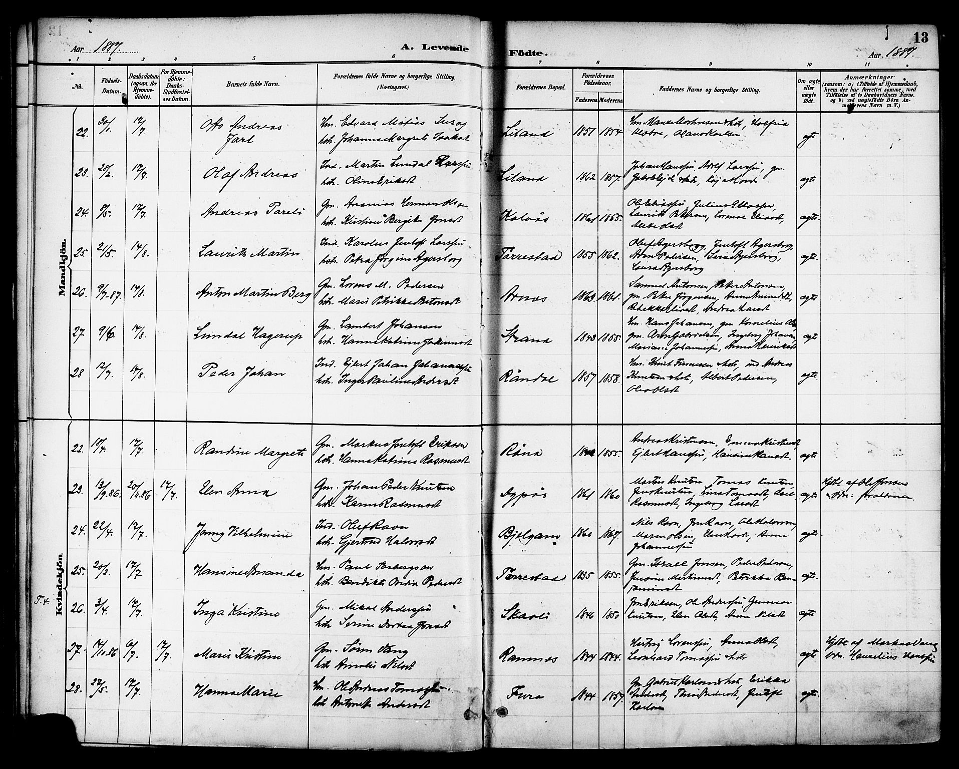 Ministerialprotokoller, klokkerbøker og fødselsregistre - Nordland, AV/SAT-A-1459/863/L0898: Ministerialbok nr. 863A10, 1886-1897, s. 13
