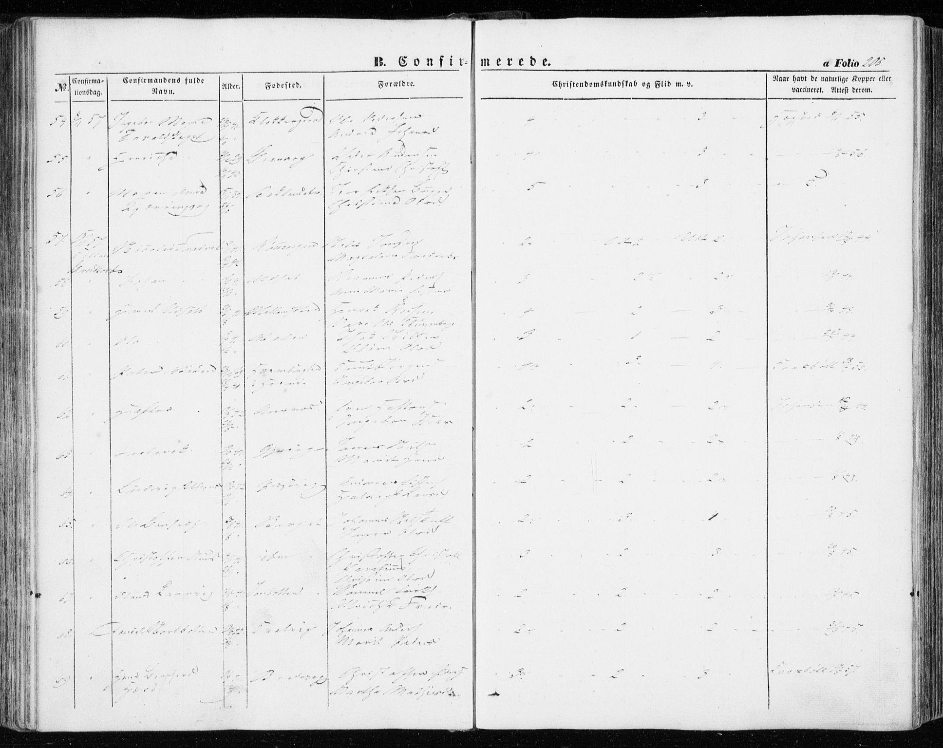 Ministerialprotokoller, klokkerbøker og fødselsregistre - Sør-Trøndelag, AV/SAT-A-1456/634/L0530: Ministerialbok nr. 634A06, 1852-1860, s. 205