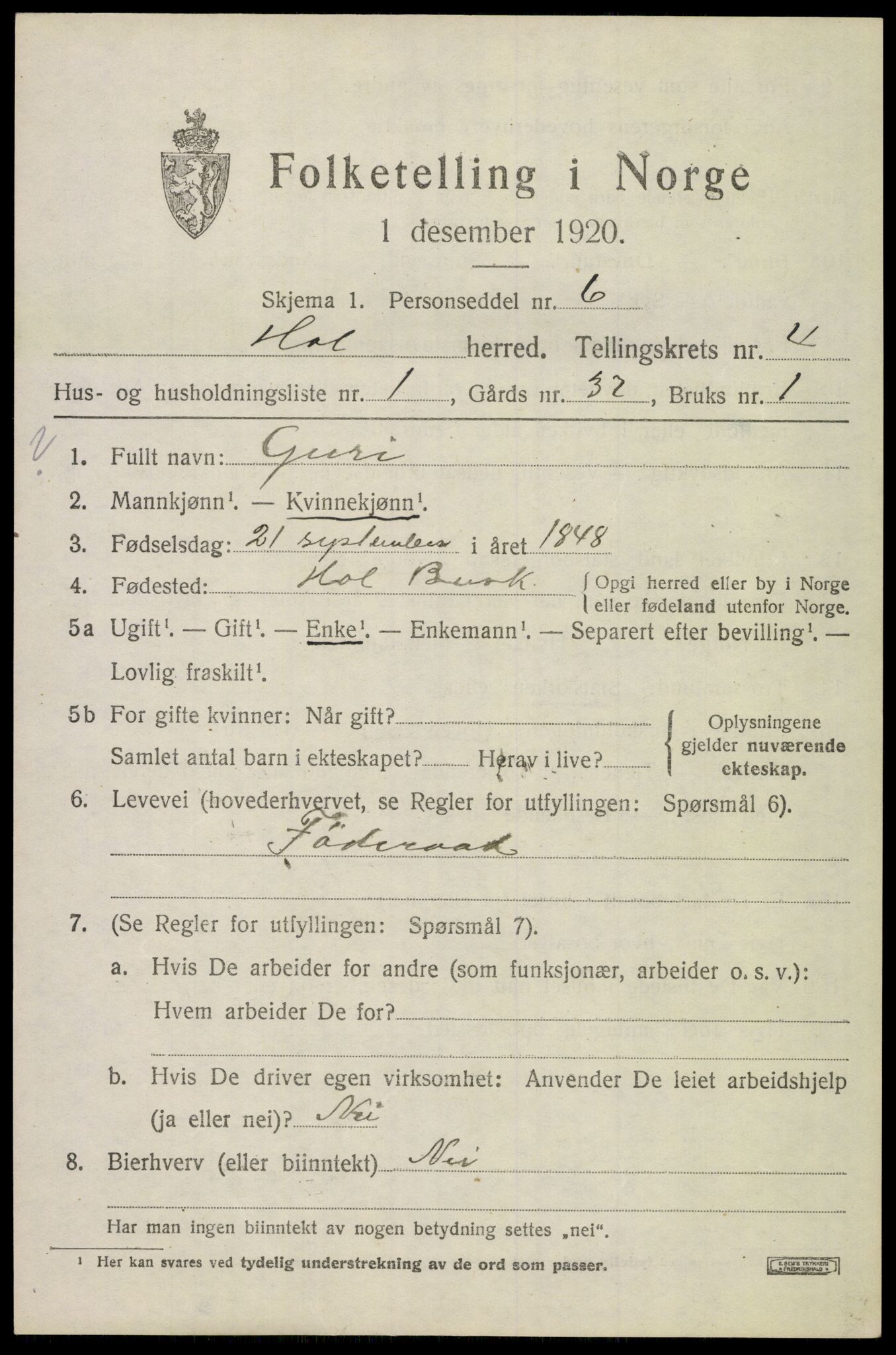 SAKO, Folketelling 1920 for 0620 Hol herred, 1920, s. 2427