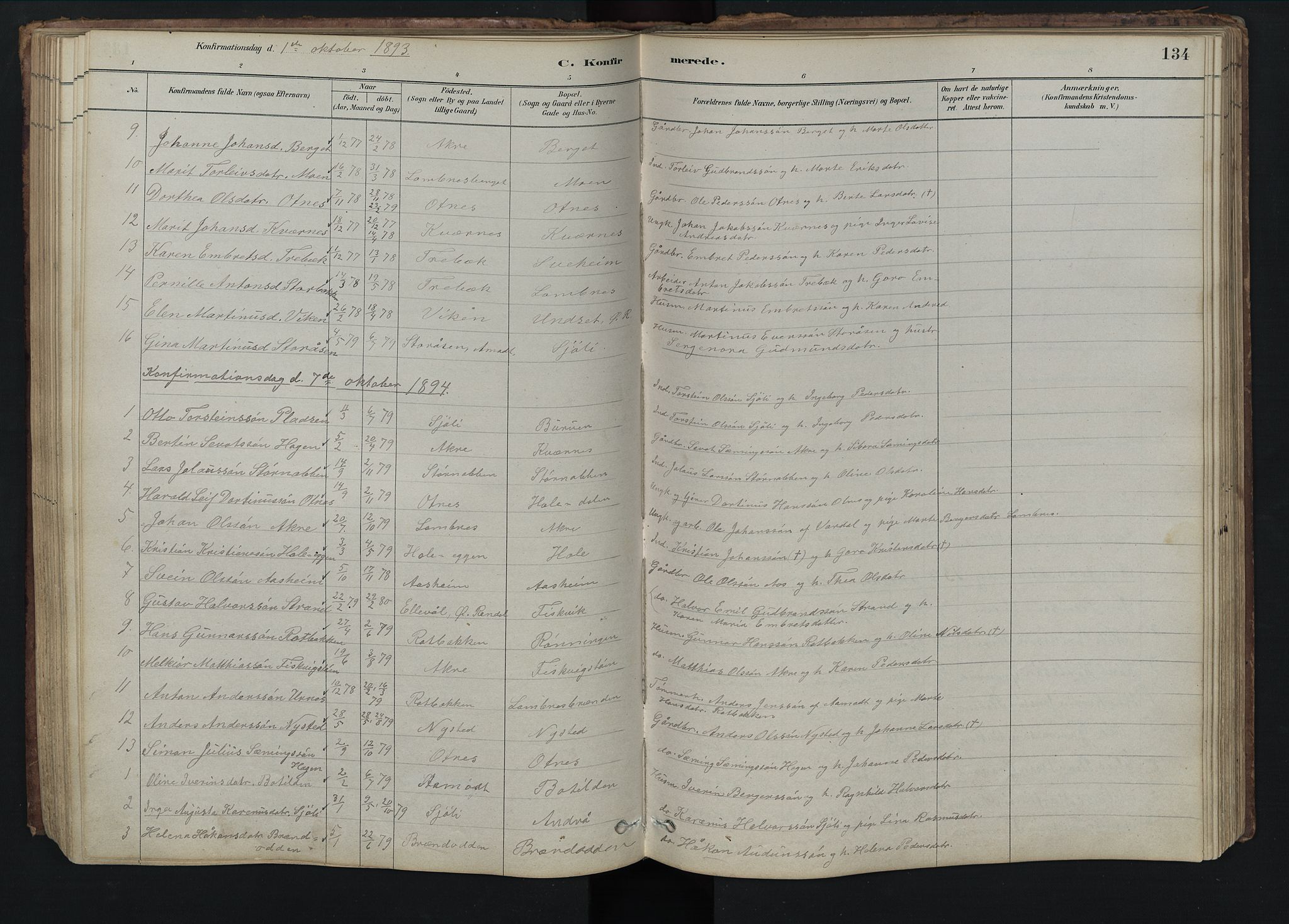 Rendalen prestekontor, AV/SAH-PREST-054/H/Ha/Hab/L0009: Klokkerbok nr. 9, 1879-1902, s. 134