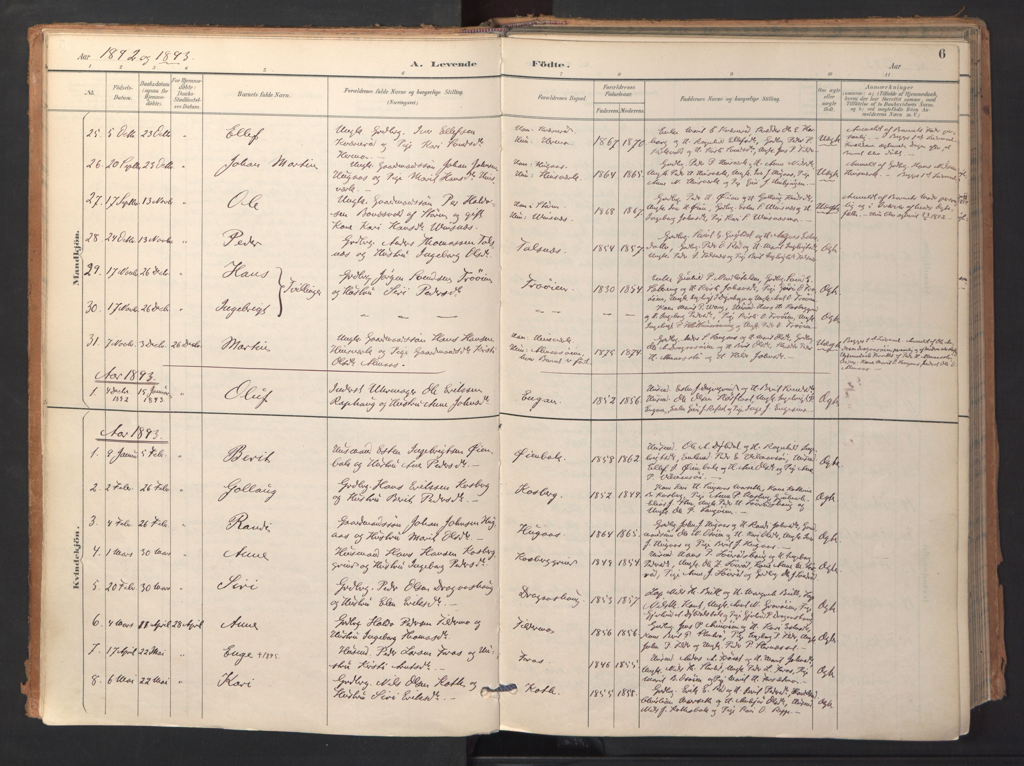 Ministerialprotokoller, klokkerbøker og fødselsregistre - Sør-Trøndelag, AV/SAT-A-1456/688/L1025: Ministerialbok nr. 688A02, 1891-1909, s. 6