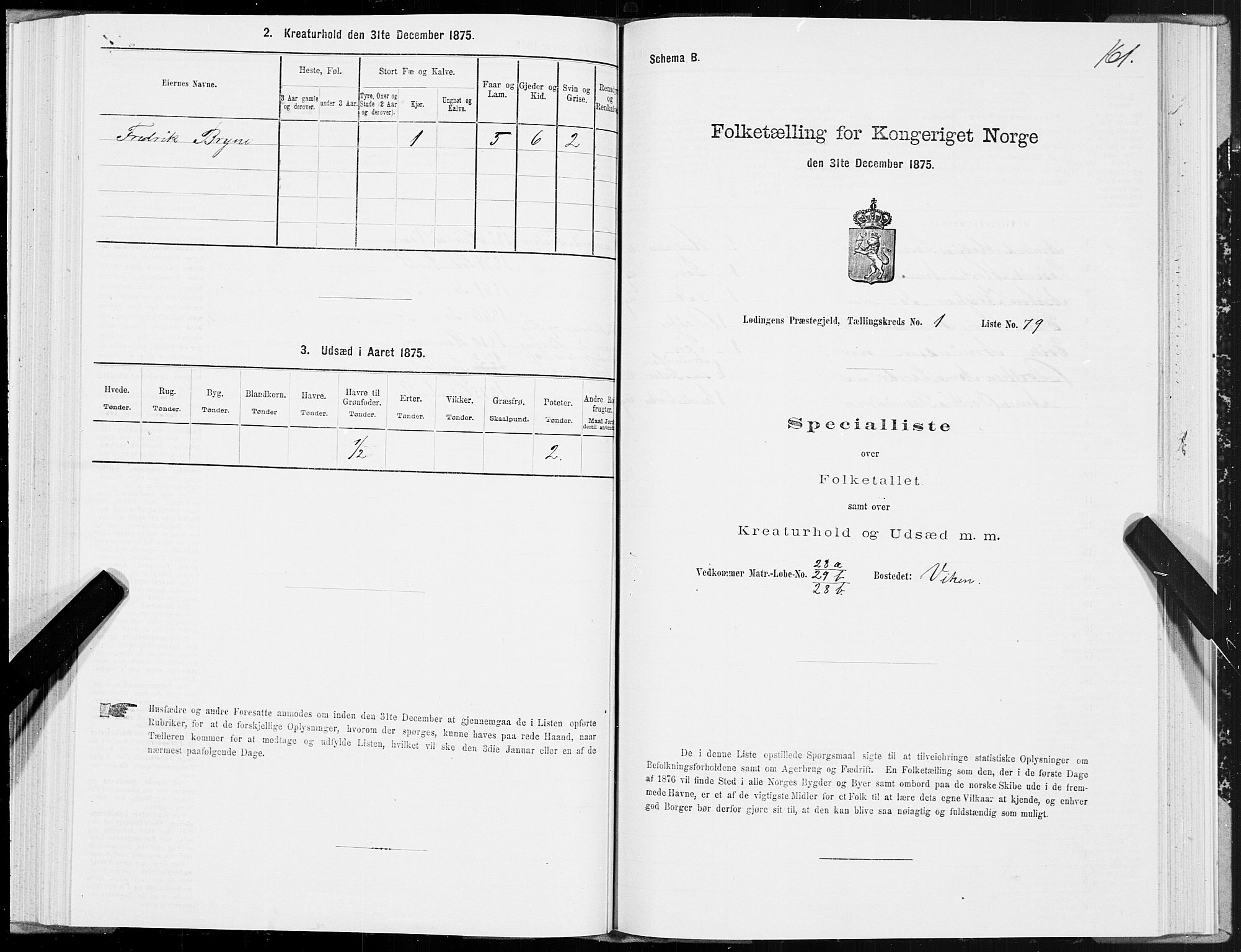 SAT, Folketelling 1875 for 1851P Lødingen prestegjeld, 1875, s. 1161