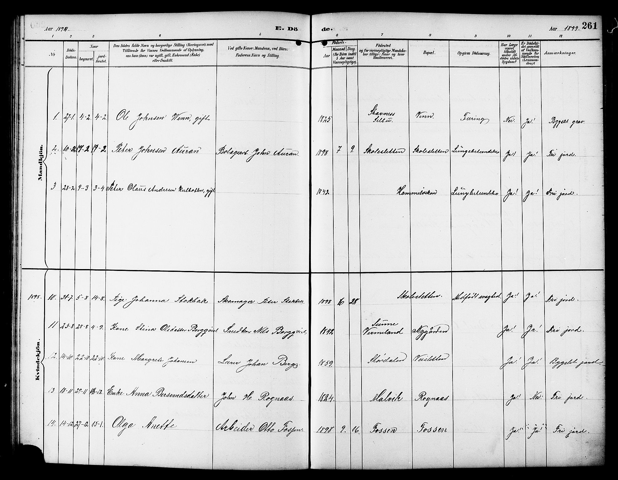 Ministerialprotokoller, klokkerbøker og fødselsregistre - Sør-Trøndelag, AV/SAT-A-1456/617/L0431: Klokkerbok nr. 617C01, 1889-1910, s. 261