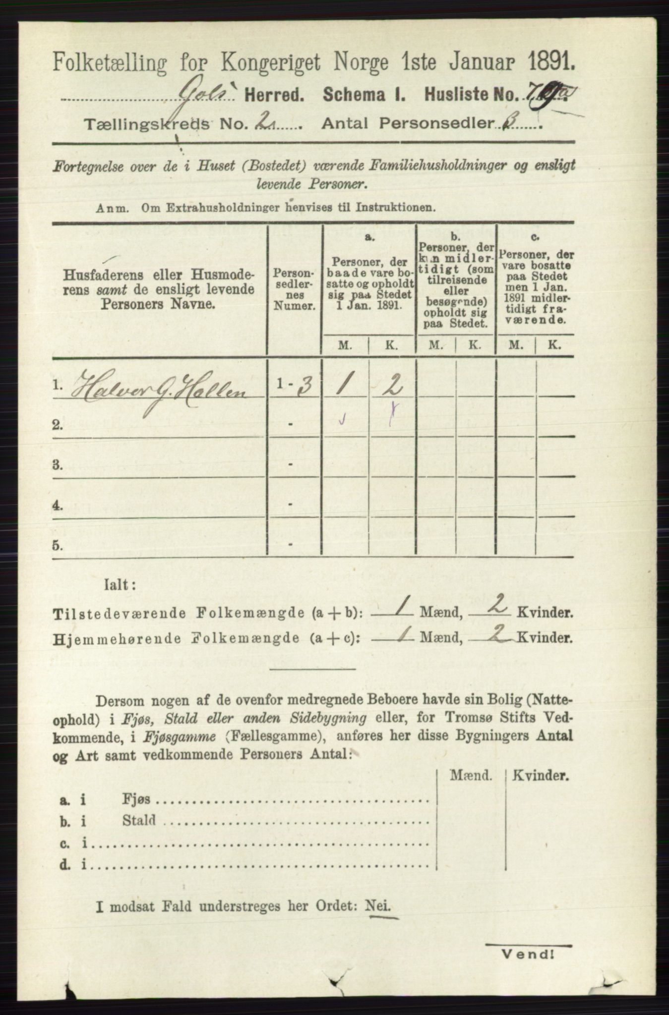 RA, Folketelling 1891 for 0617 Gol og Hemsedal herred, 1891, s. 704