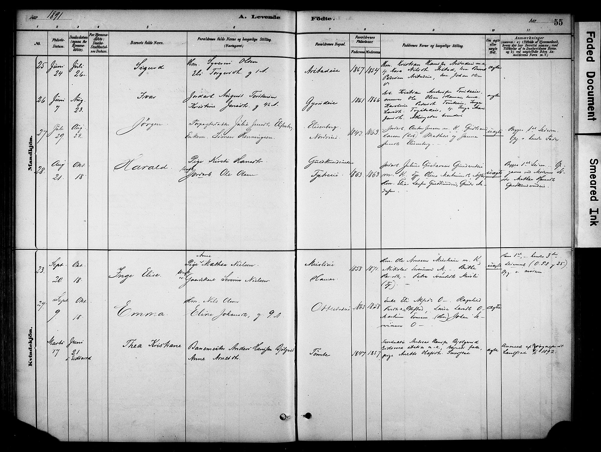 Stange prestekontor, AV/SAH-PREST-002/K/L0019: Ministerialbok nr. 19, 1880-1891, s. 55