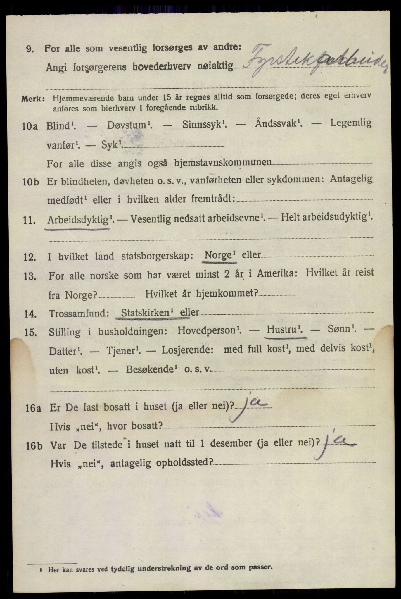 SAKO, Folketelling 1920 for 0726 Brunlanes herred, 1920, s. 6082