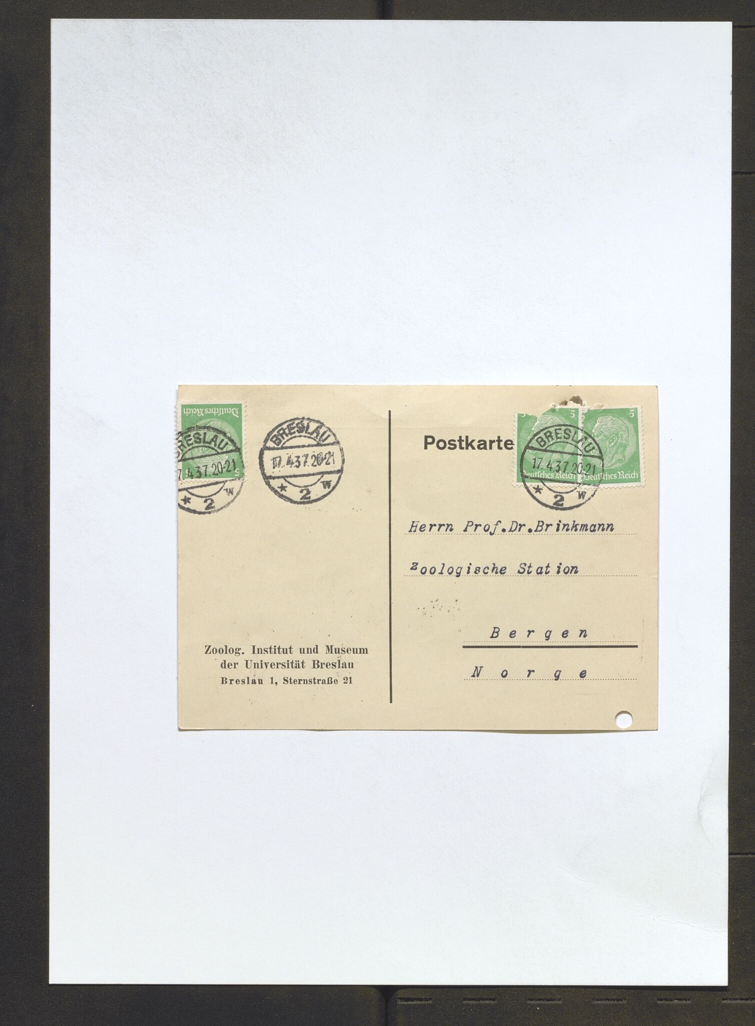 Bergens Museum, AV/SAB-A-17301/13/D/L0002: Korrespondanse , 1928-1940, s. 596