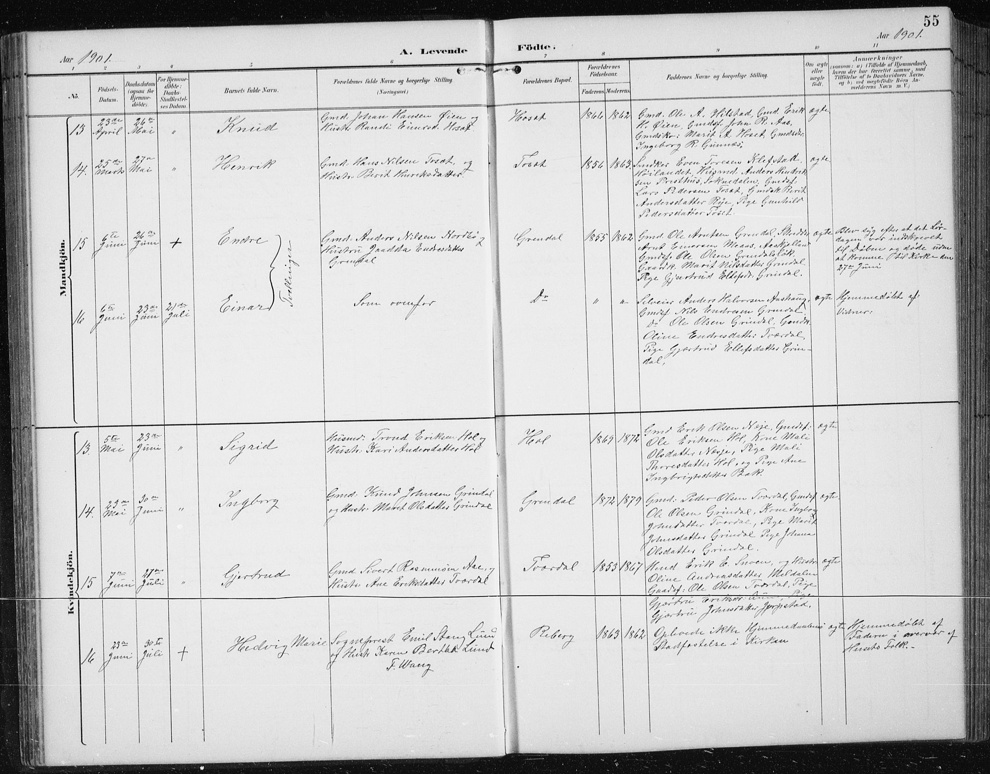 Ministerialprotokoller, klokkerbøker og fødselsregistre - Sør-Trøndelag, AV/SAT-A-1456/674/L0876: Klokkerbok nr. 674C03, 1892-1912, s. 55