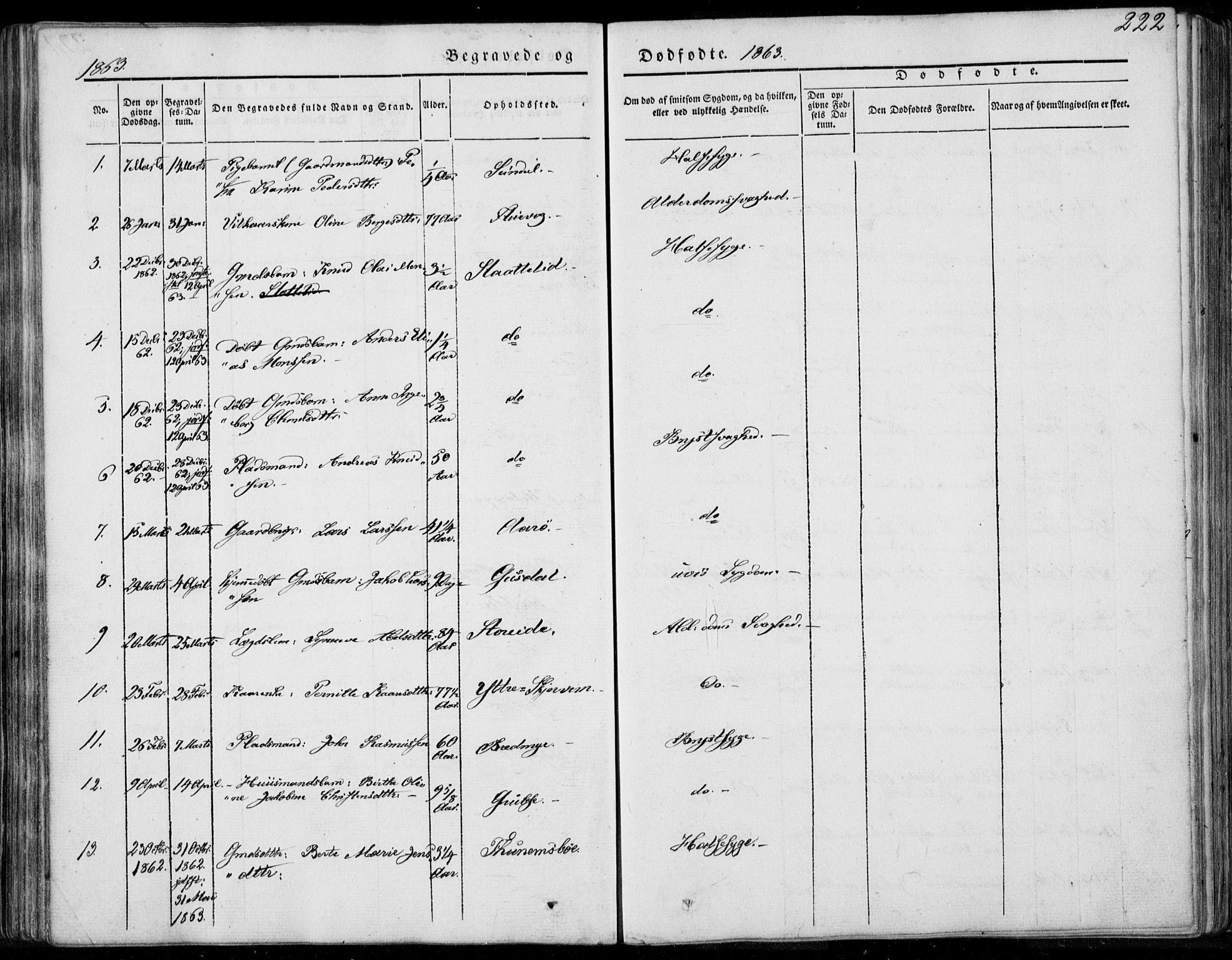 Ministerialprotokoller, klokkerbøker og fødselsregistre - Møre og Romsdal, SAT/A-1454/501/L0006: Ministerialbok nr. 501A06, 1844-1868, s. 222