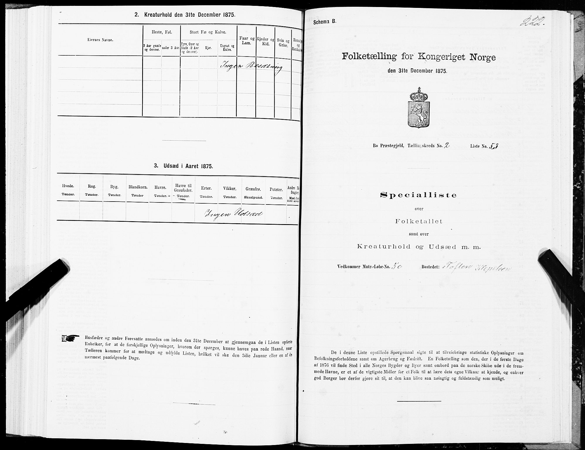 SAT, Folketelling 1875 for 1867P Bø prestegjeld, 1875, s. 1222