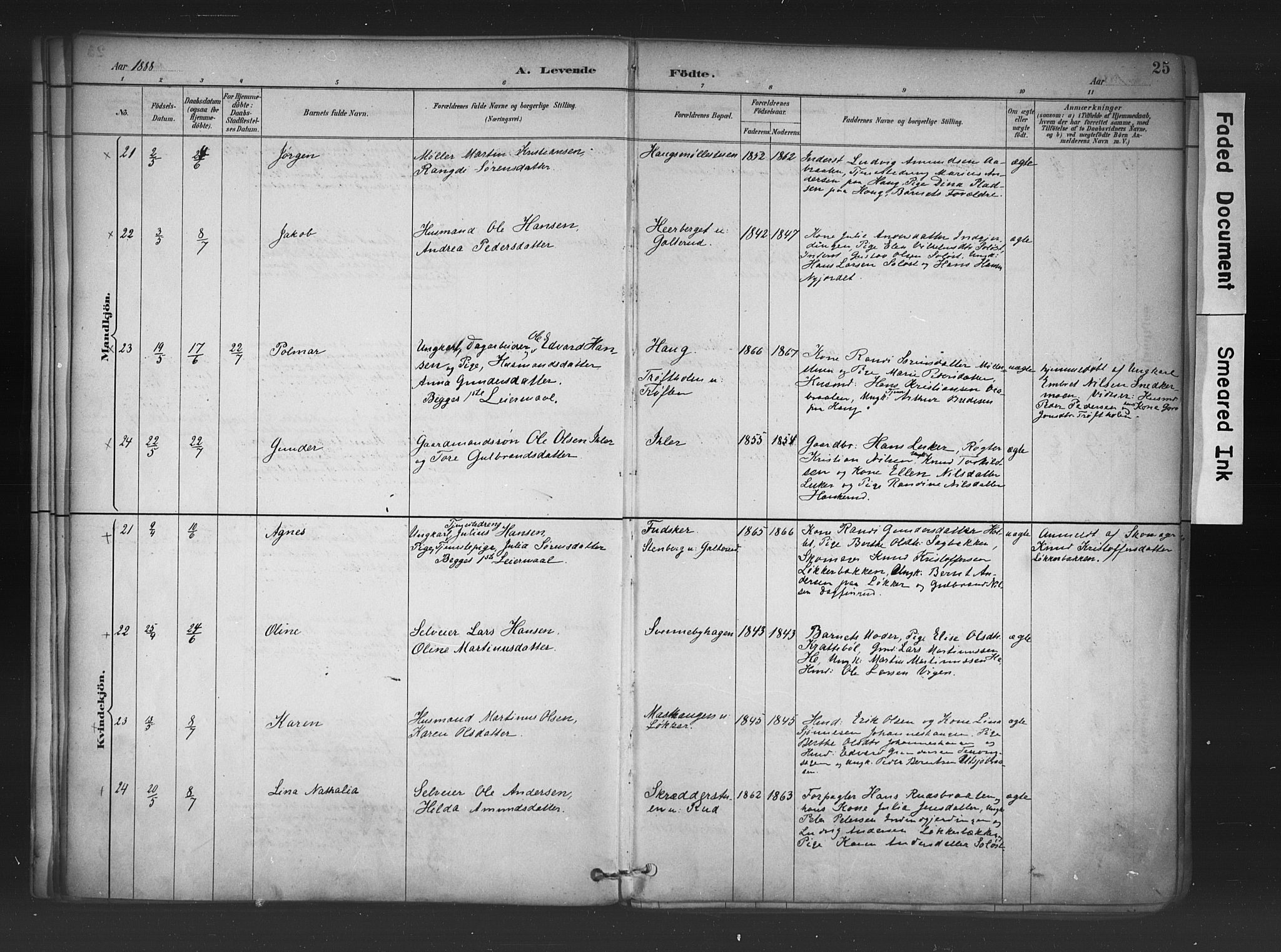 Nord-Odal prestekontor, AV/SAH-PREST-032/H/Ha/Haa/L0006: Ministerialbok nr. 6, 1886-1901, s. 25