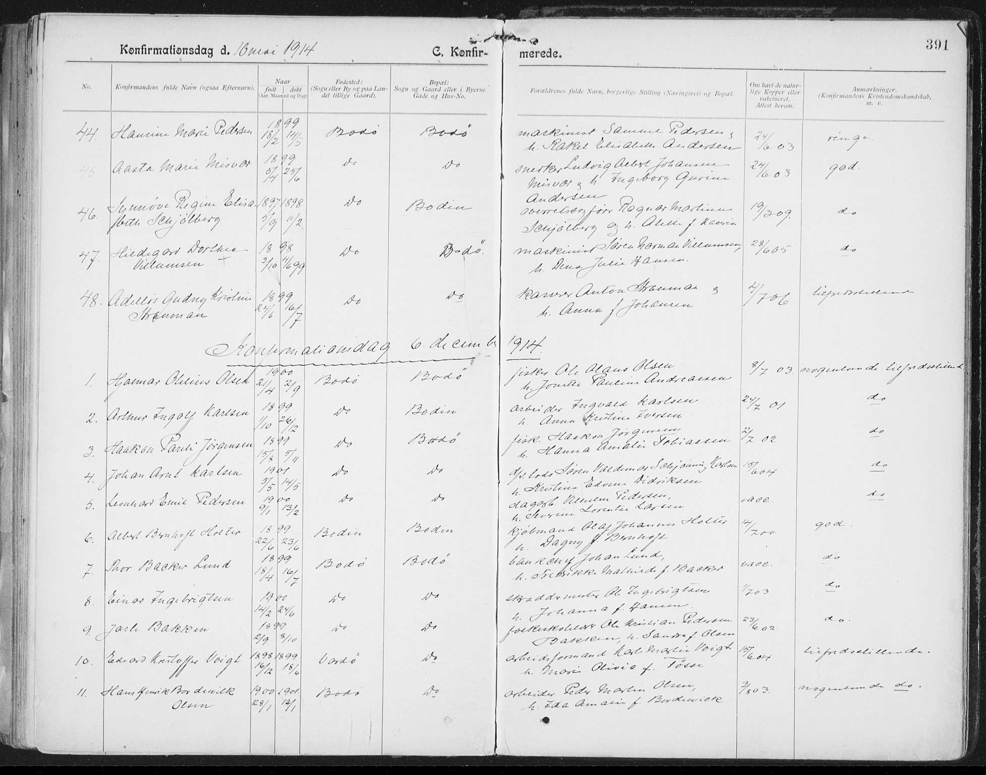 Ministerialprotokoller, klokkerbøker og fødselsregistre - Nordland, AV/SAT-A-1459/801/L0011: Ministerialbok nr. 801A11, 1900-1916, s. 391