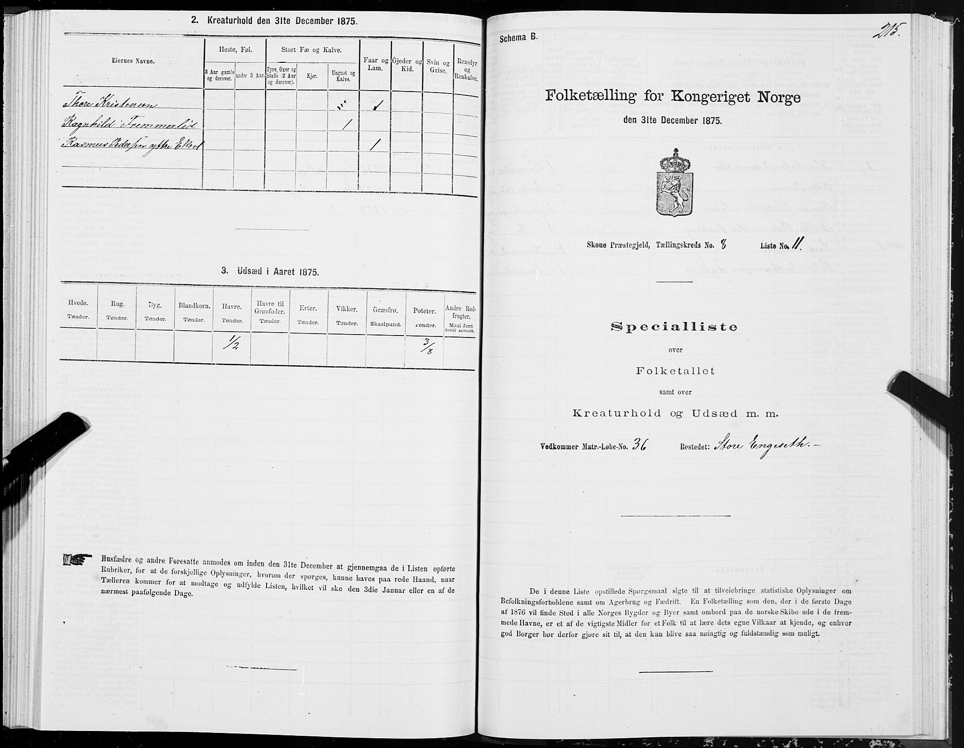 SAT, Folketelling 1875 for 1529P Skodje prestegjeld, 1875, s. 2215